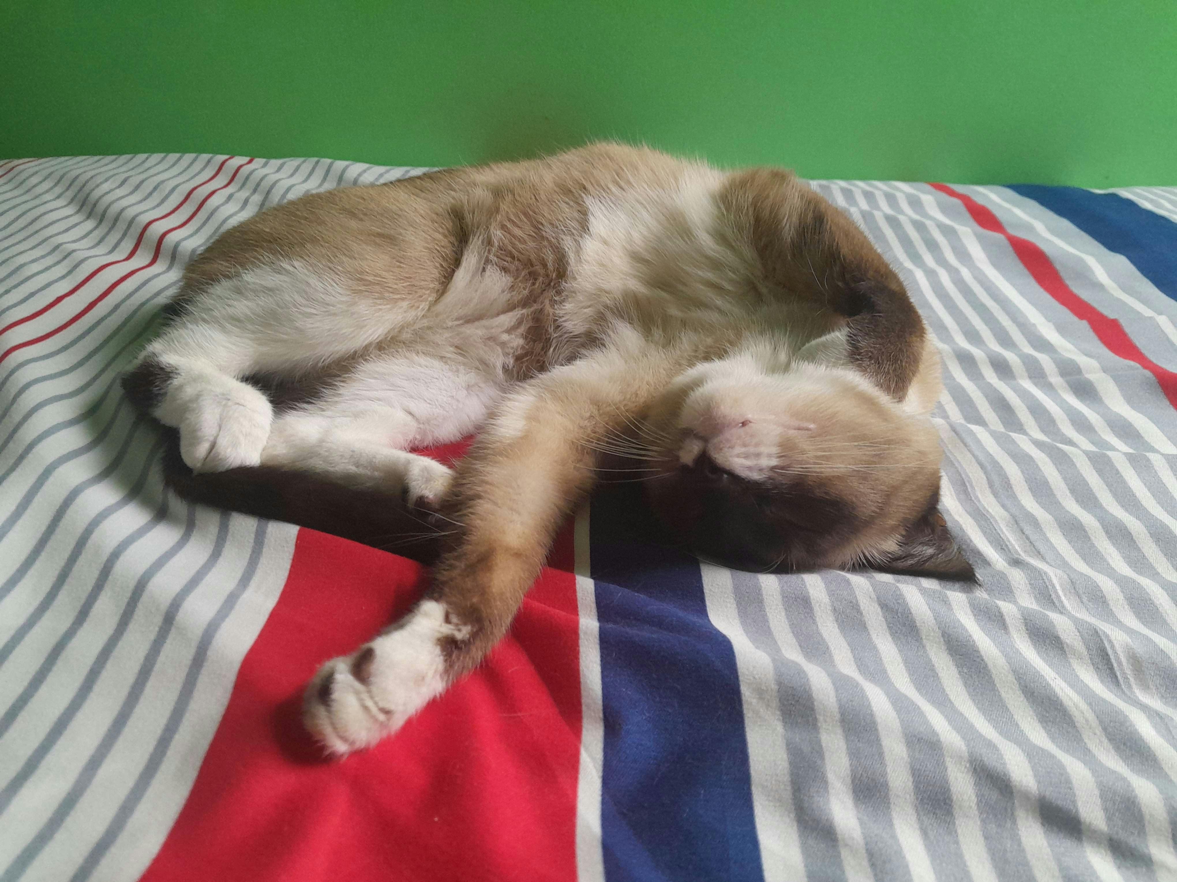 user avatar image for Igor M A