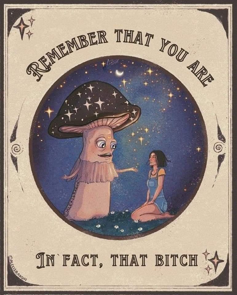 user avatar image for Jordan Clifton