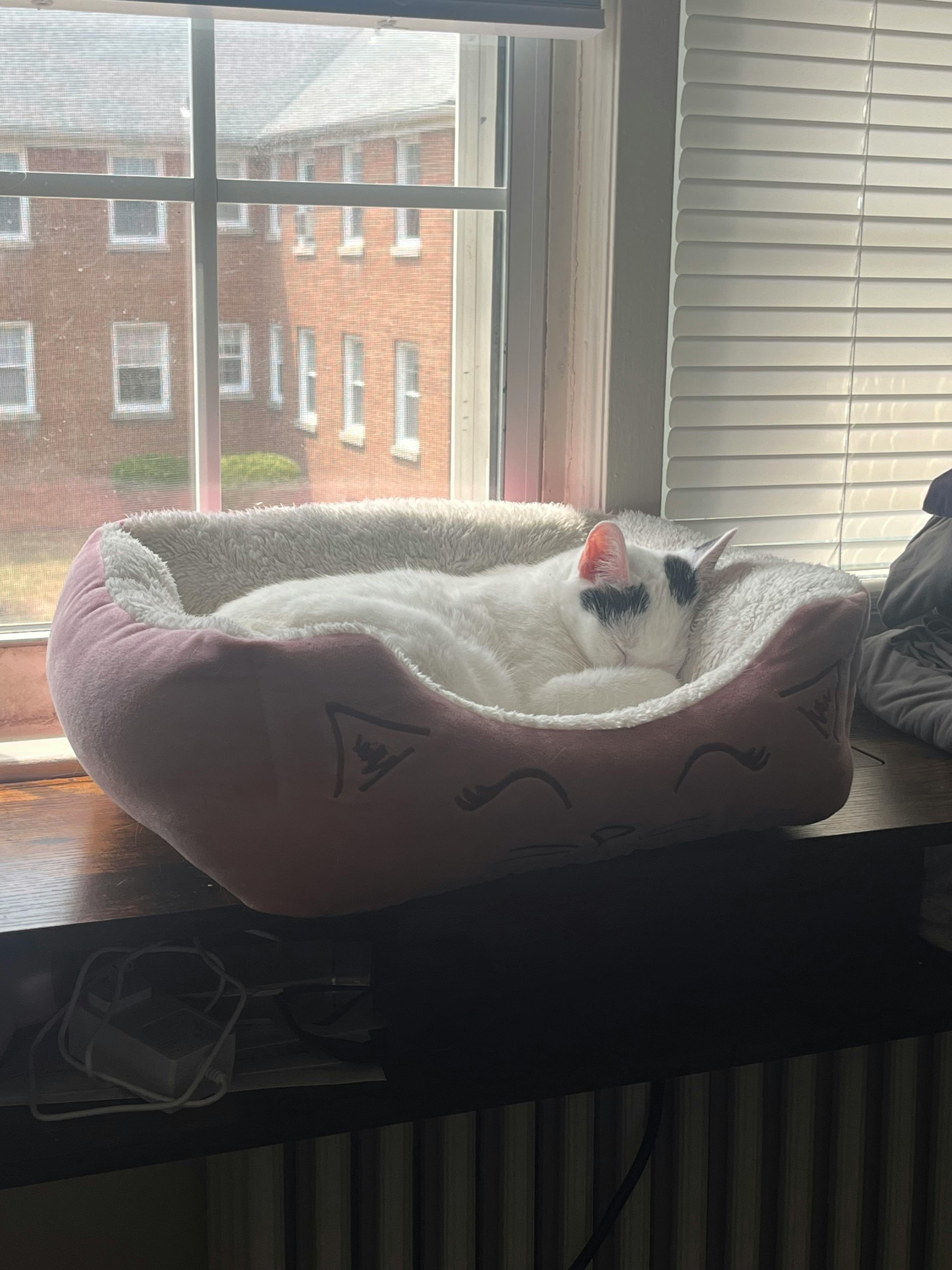 user avatar image for Molly