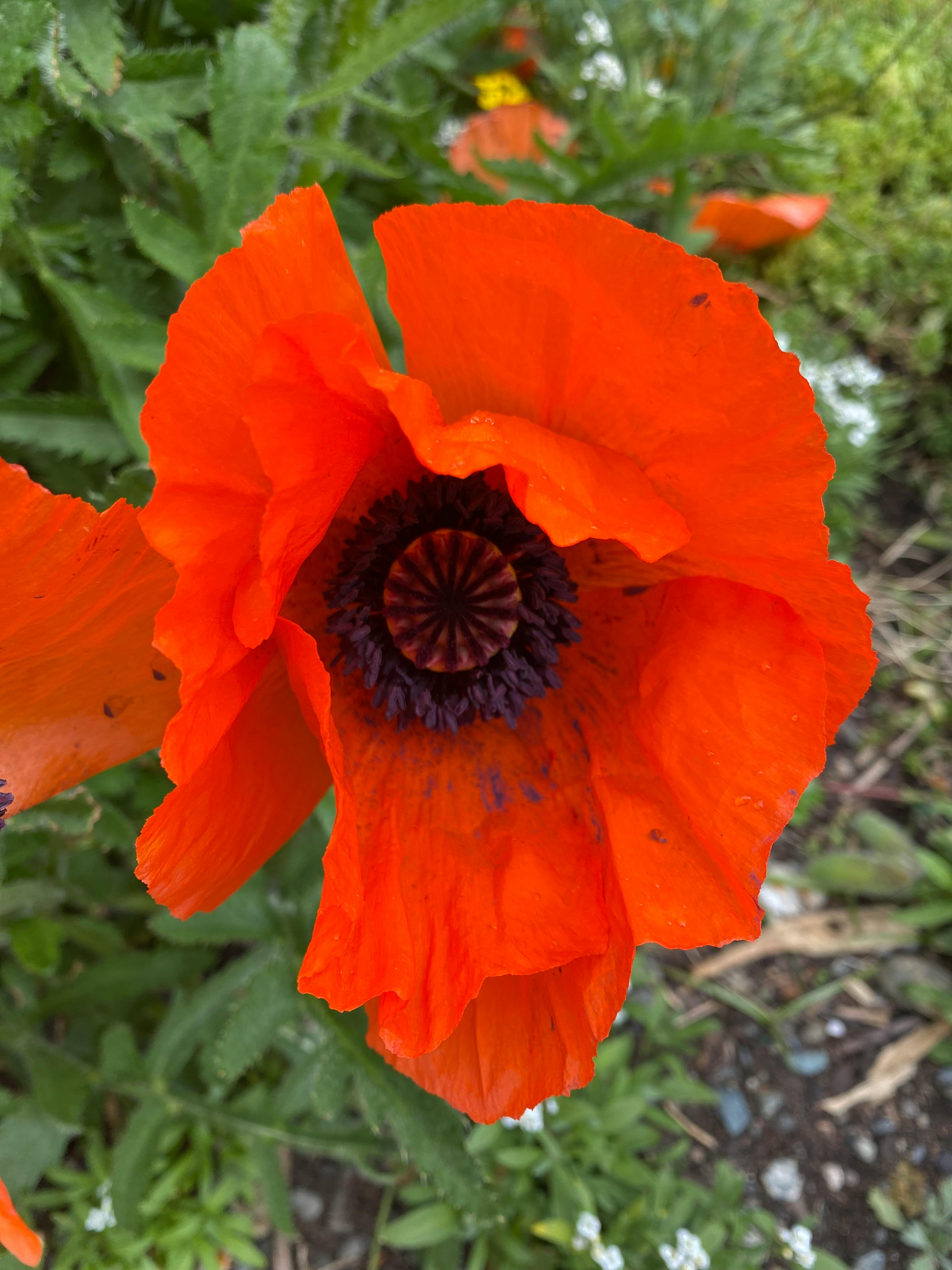 user avatar image for Tamara