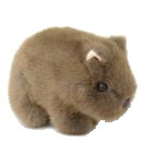 user avatar image for Wombat Sanders