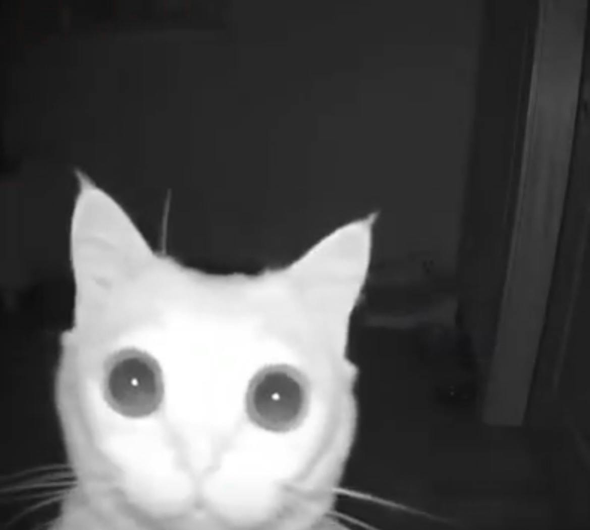 user avatar image for AnglerFishermam