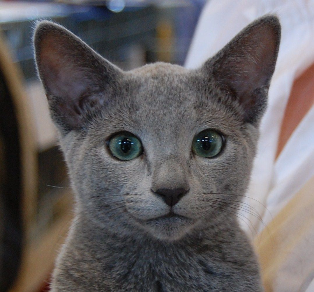 user avatar image for Xander Hugh