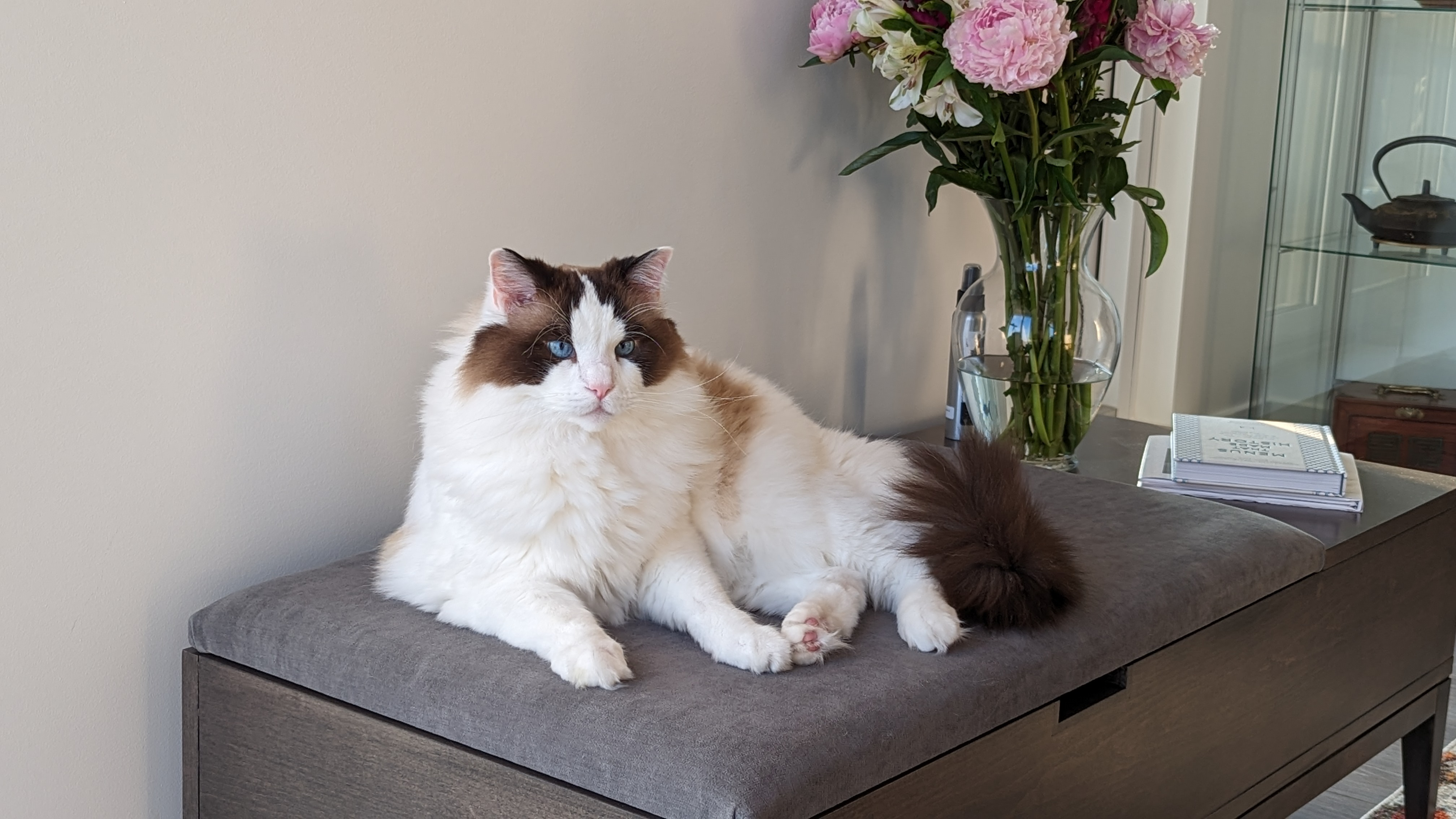 user avatar image for Jonathan Kinney