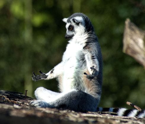 user avatar image for lorgalis76