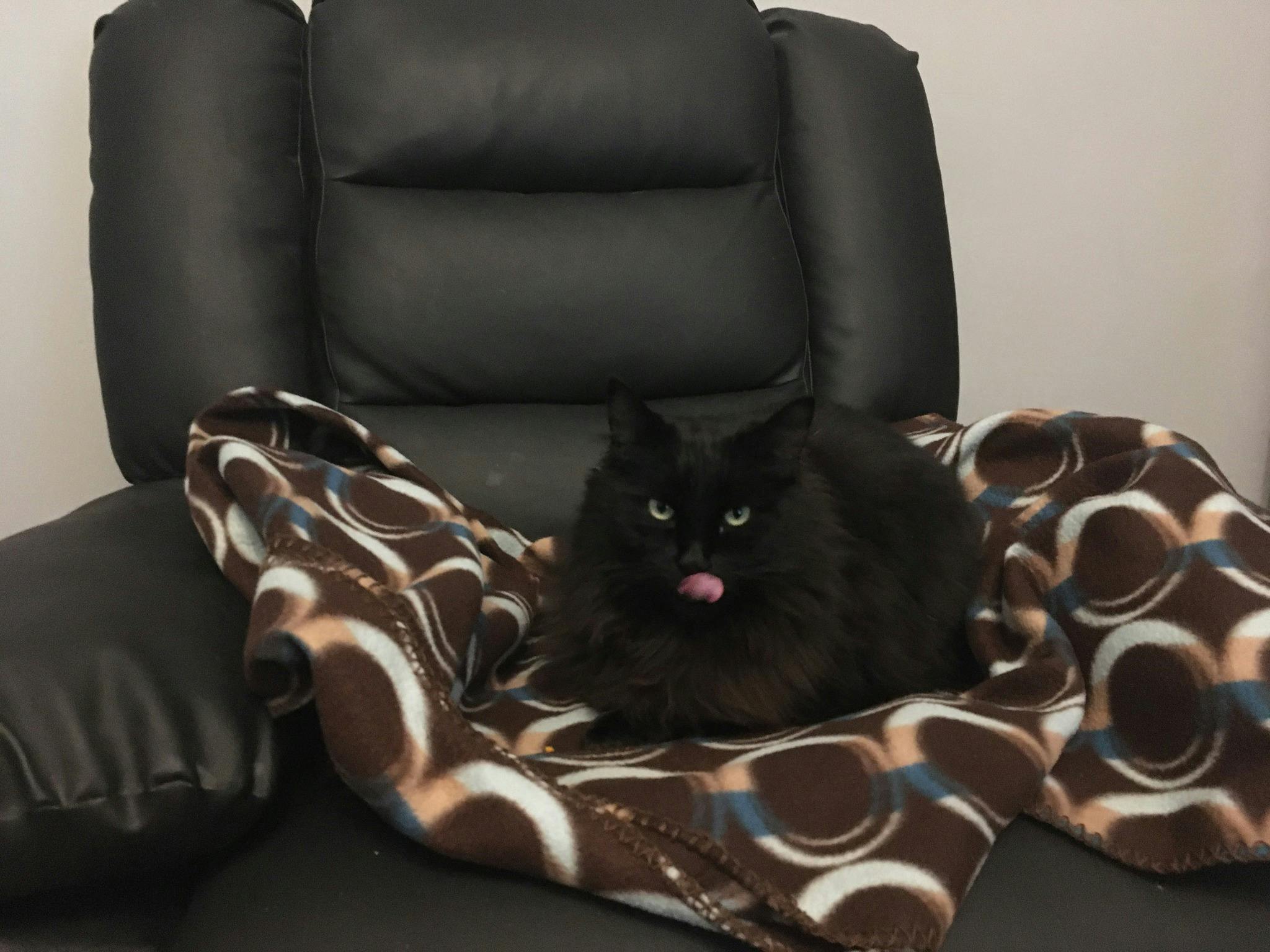 user avatar image for Jon Robinson