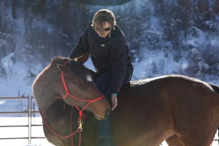 user avatar image for Mattie