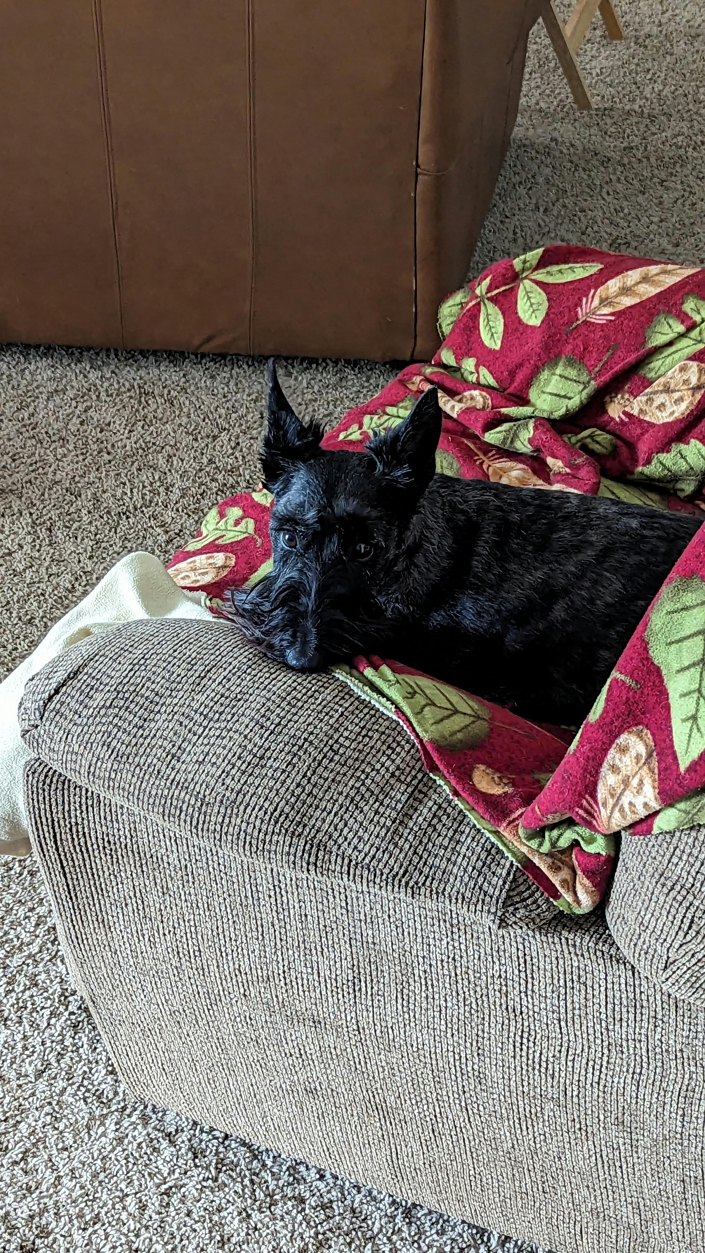 user avatar image for Paul