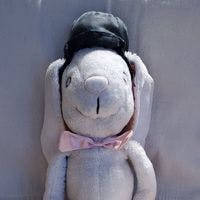 user avatar image for Matthew Scouten