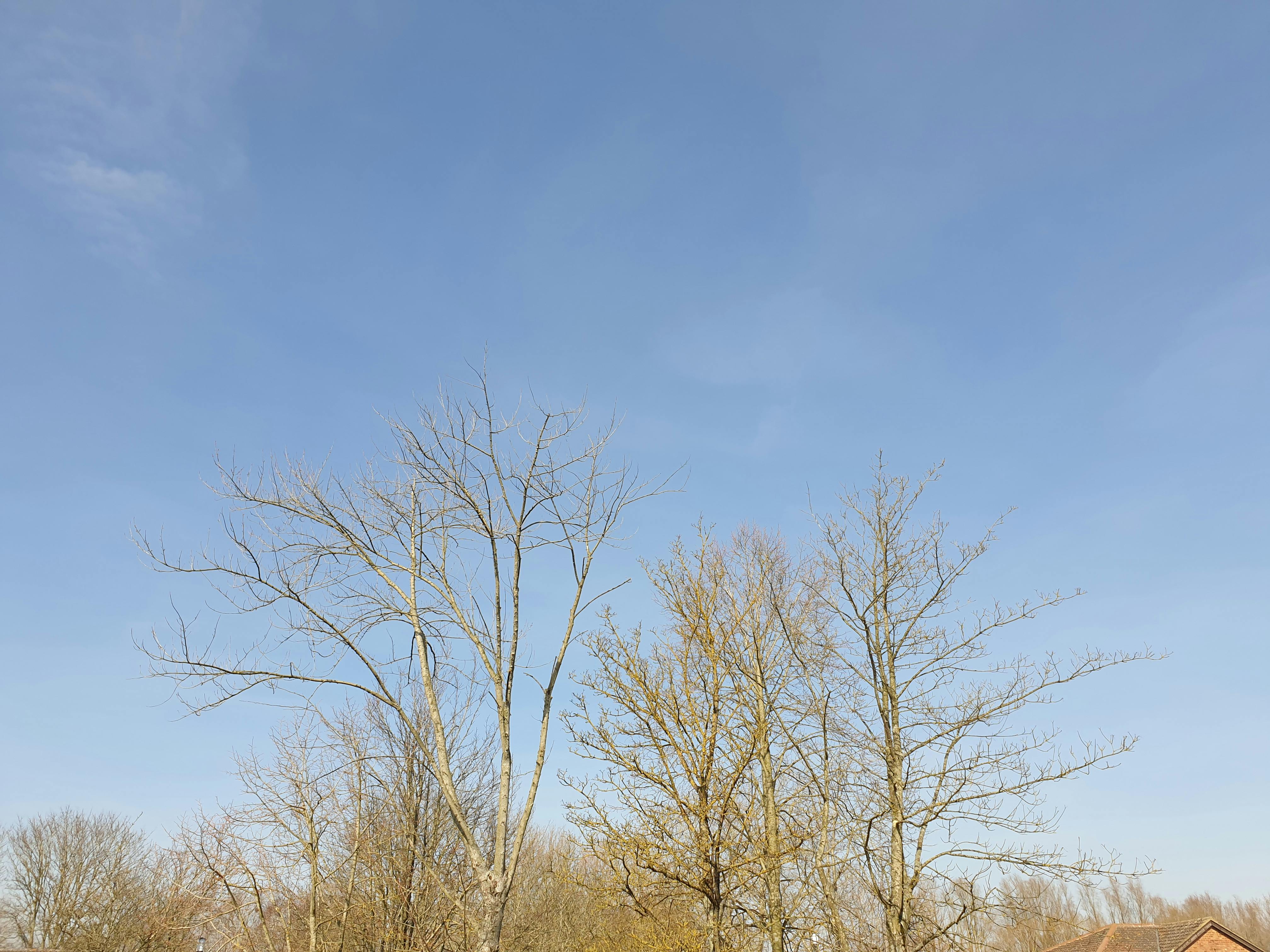 user avatar image for MarkM