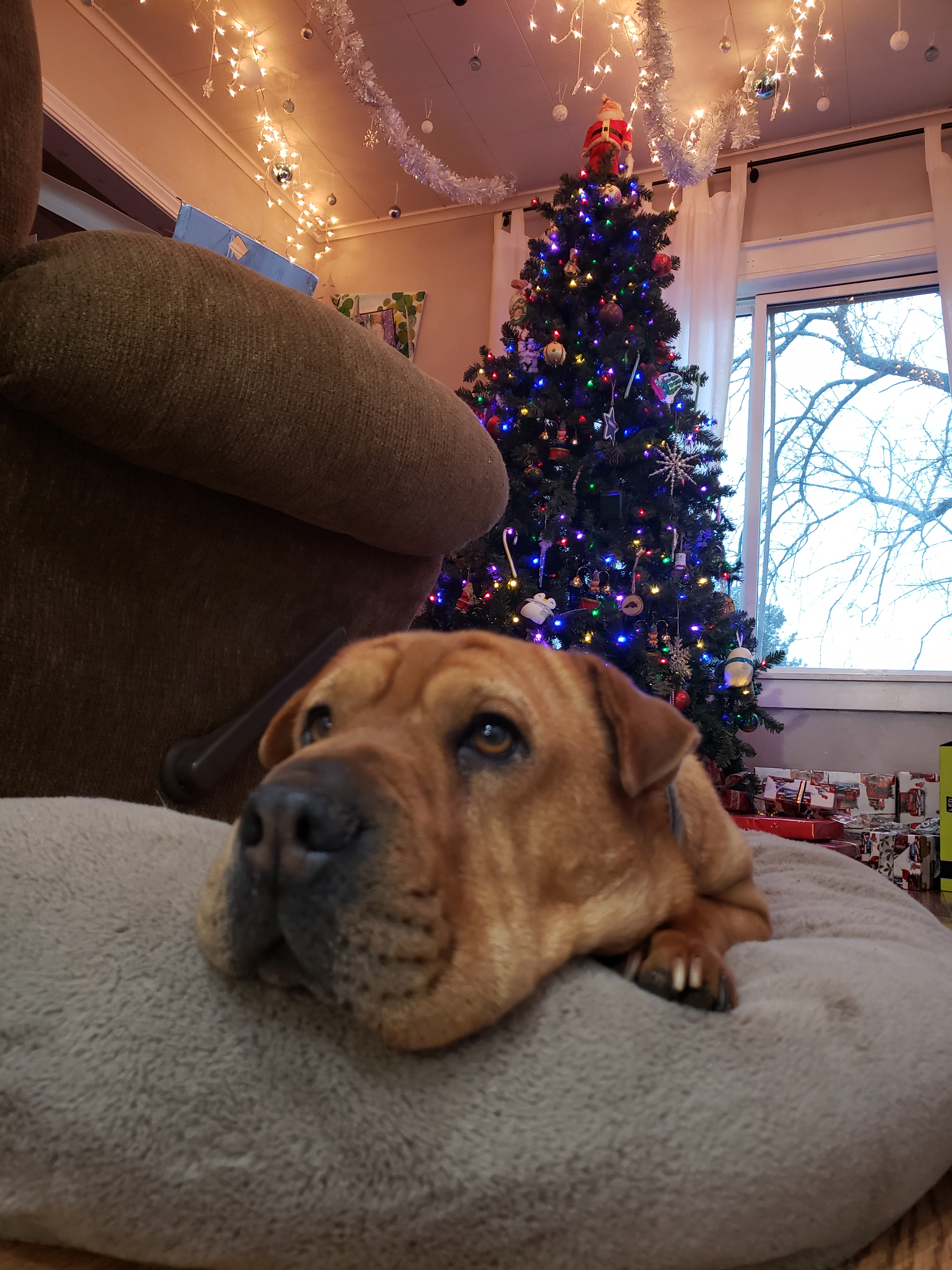 user avatar image for Rochelle