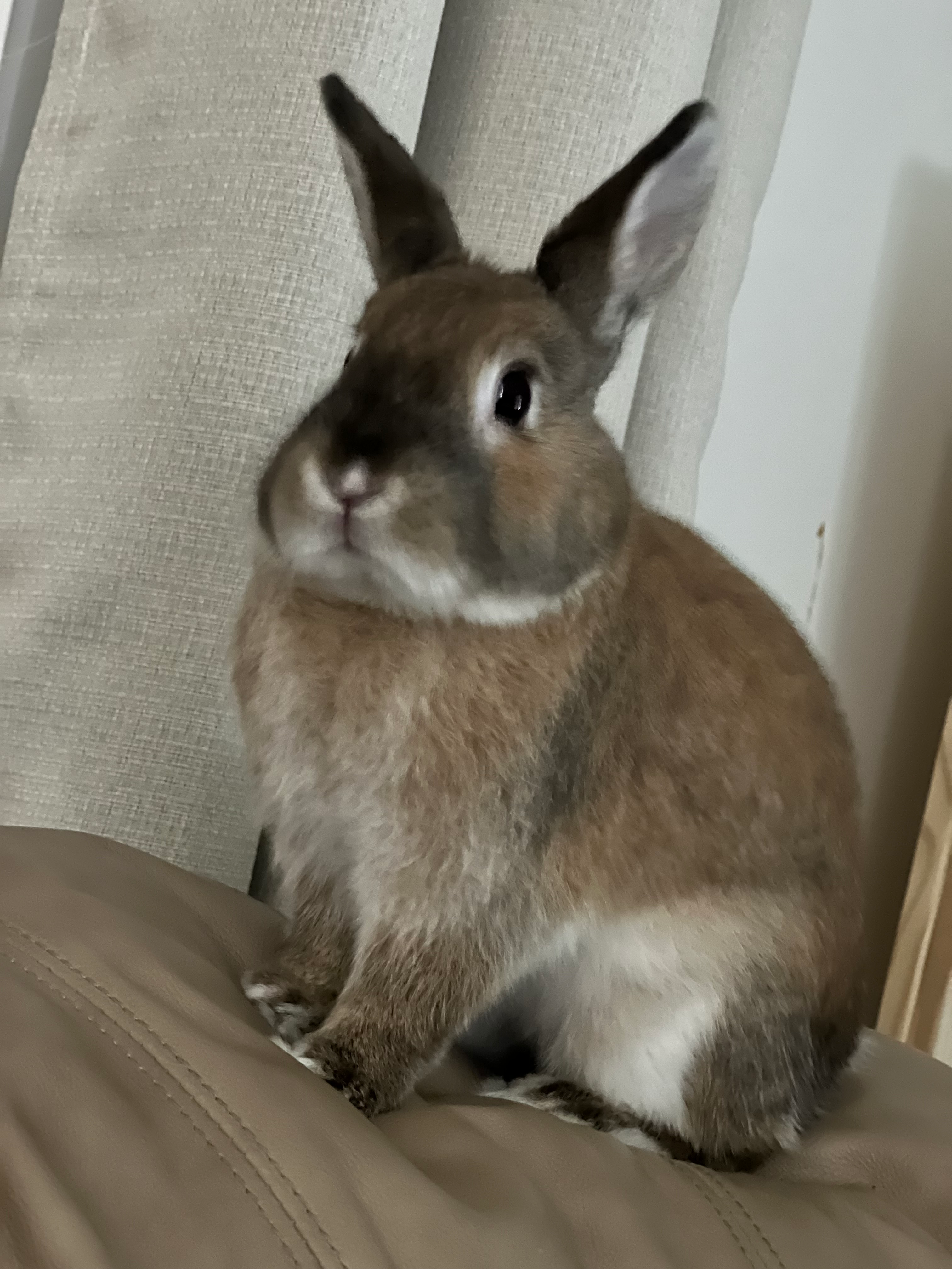 user avatar image for Laura Loveridge