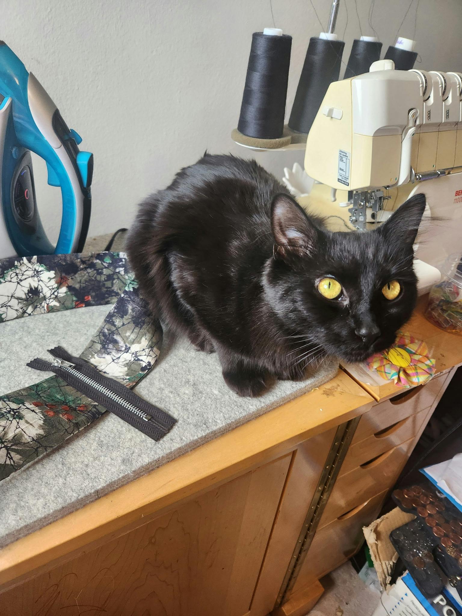 user avatar image for Michael Loggains