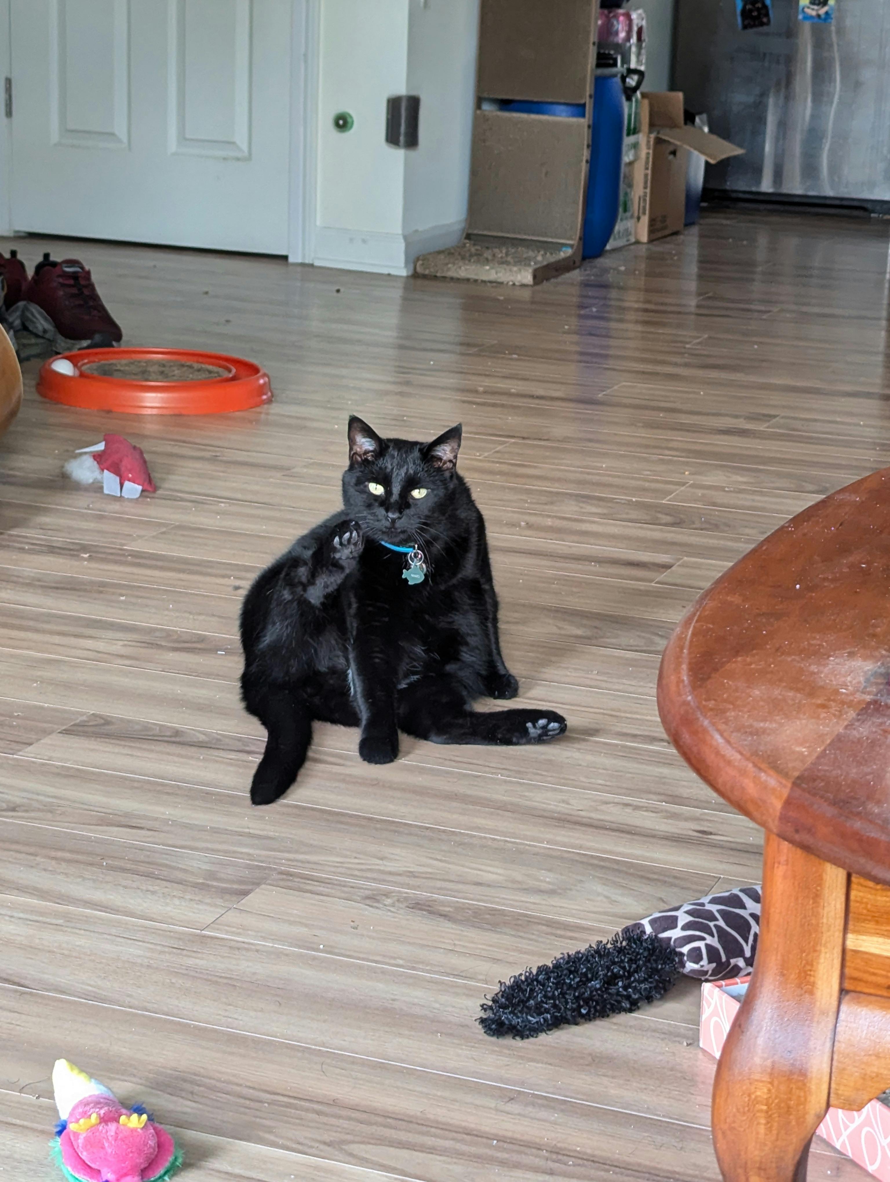 user avatar image for Amanda Smith