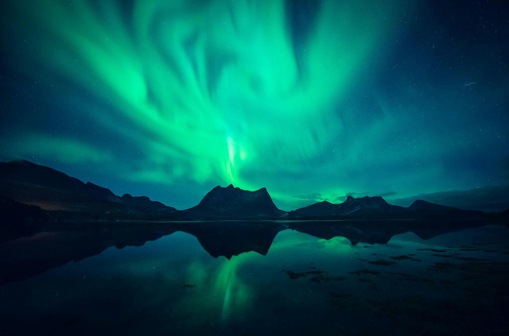 user avatar image for St M