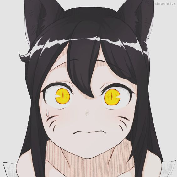 user avatar image for Rin