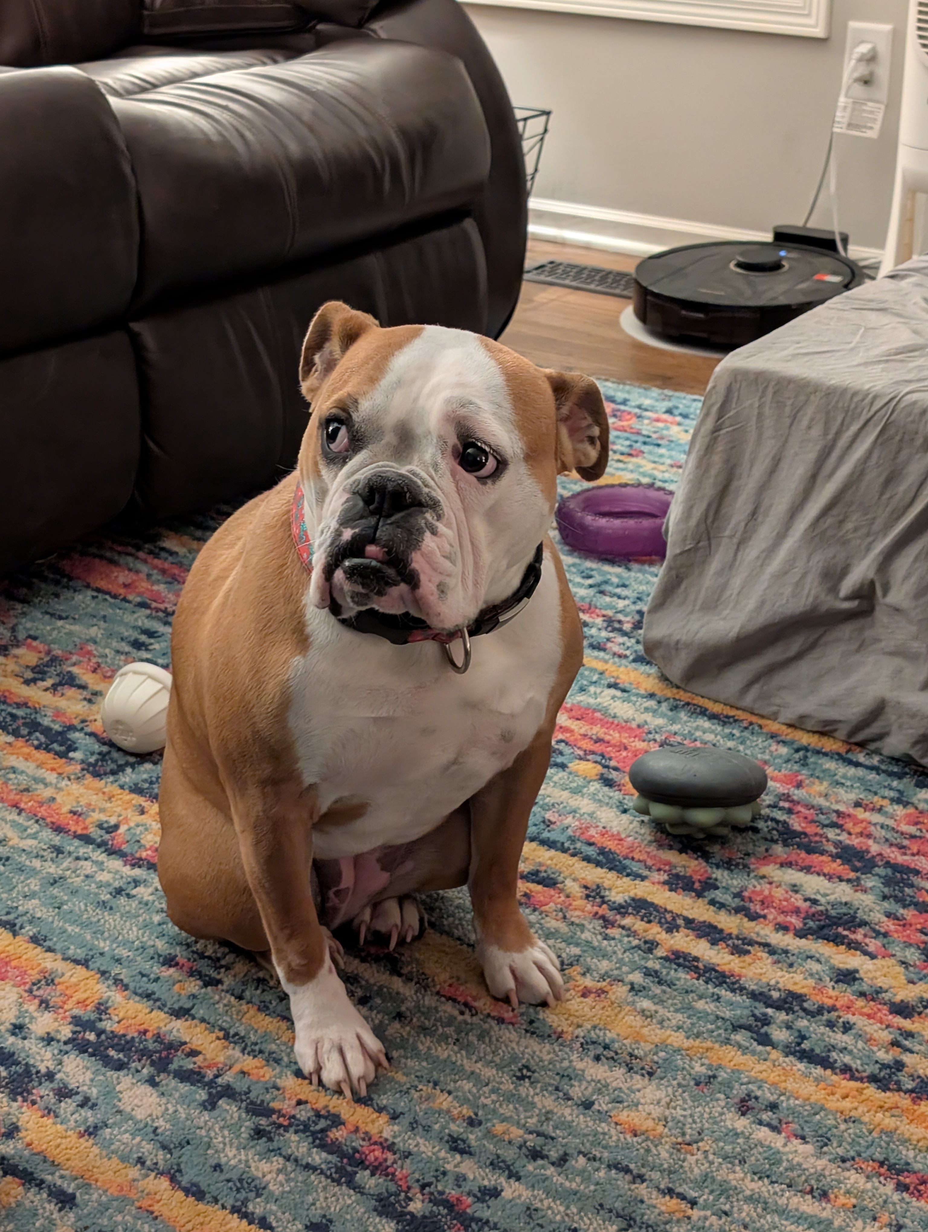 user avatar image for Cameron Peickert