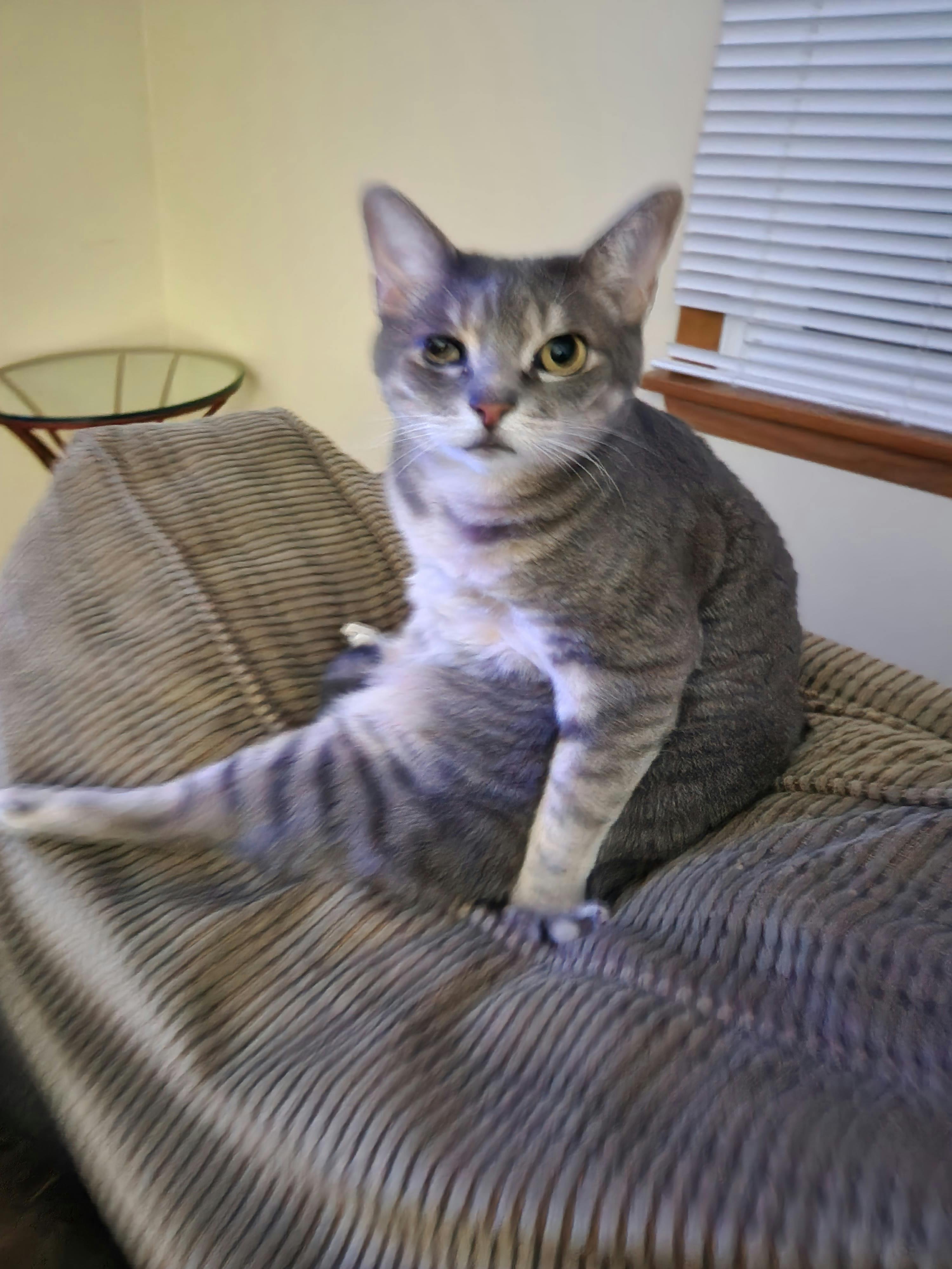 user avatar image for RichG