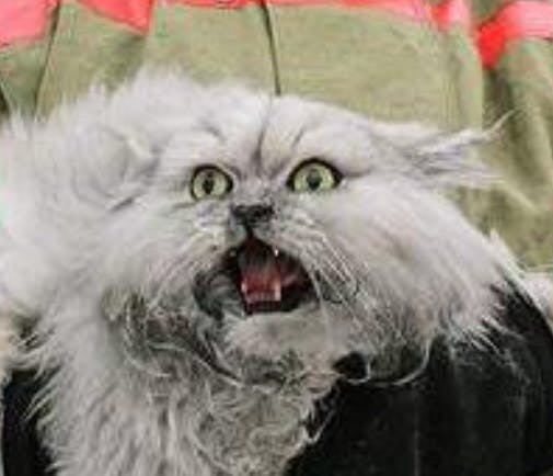 user avatar image for Edd0