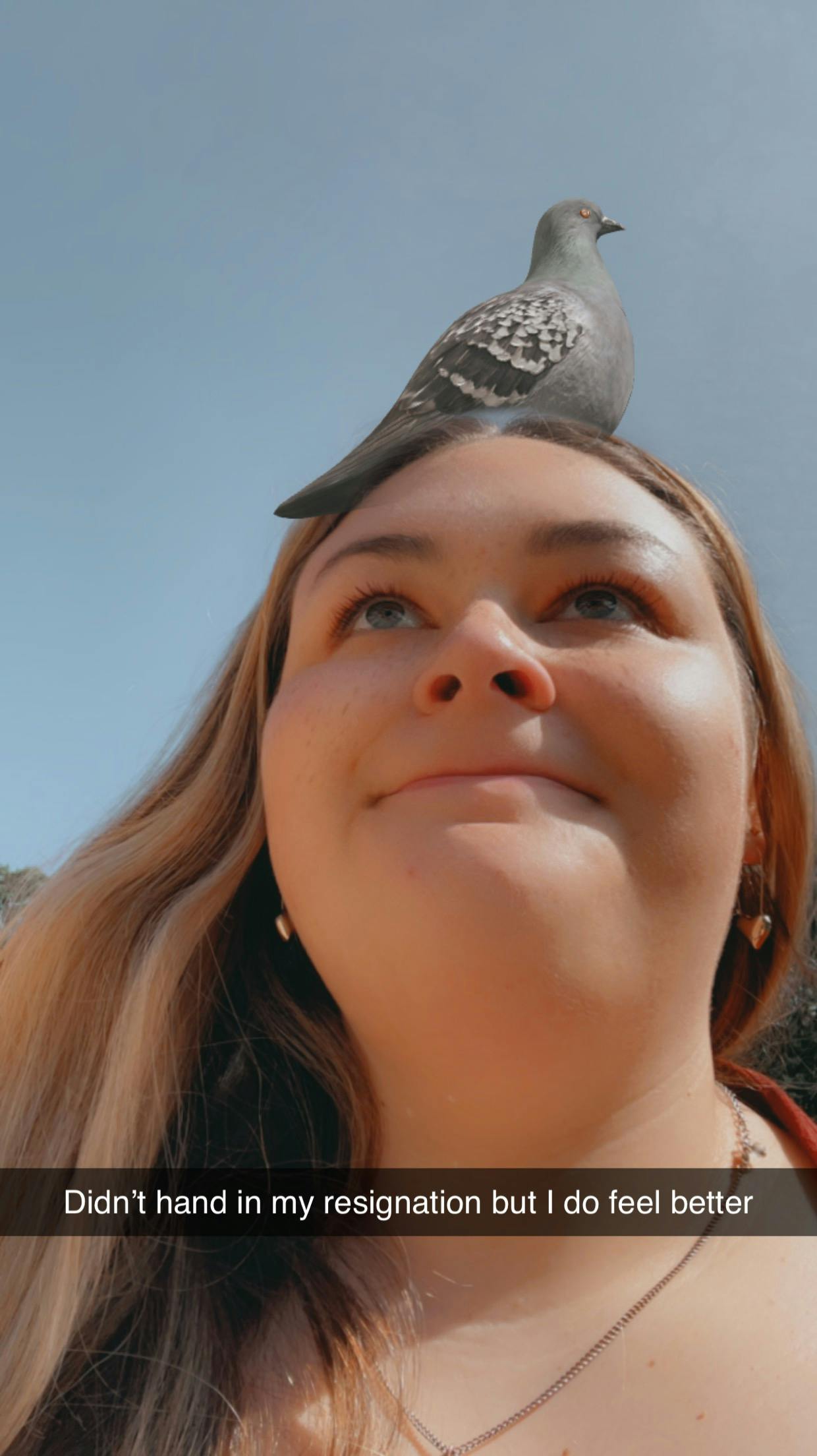 user avatar image for Lizzie 