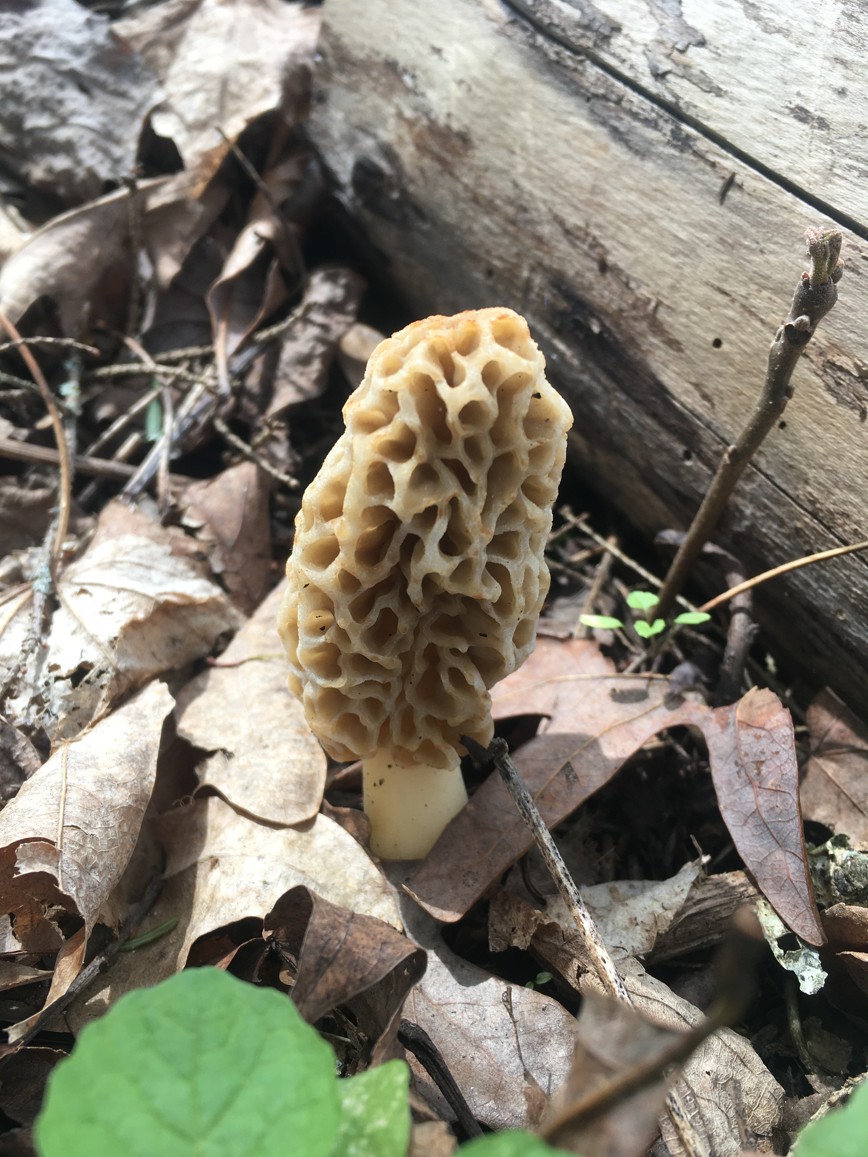 user avatar image for Chris Woodrum