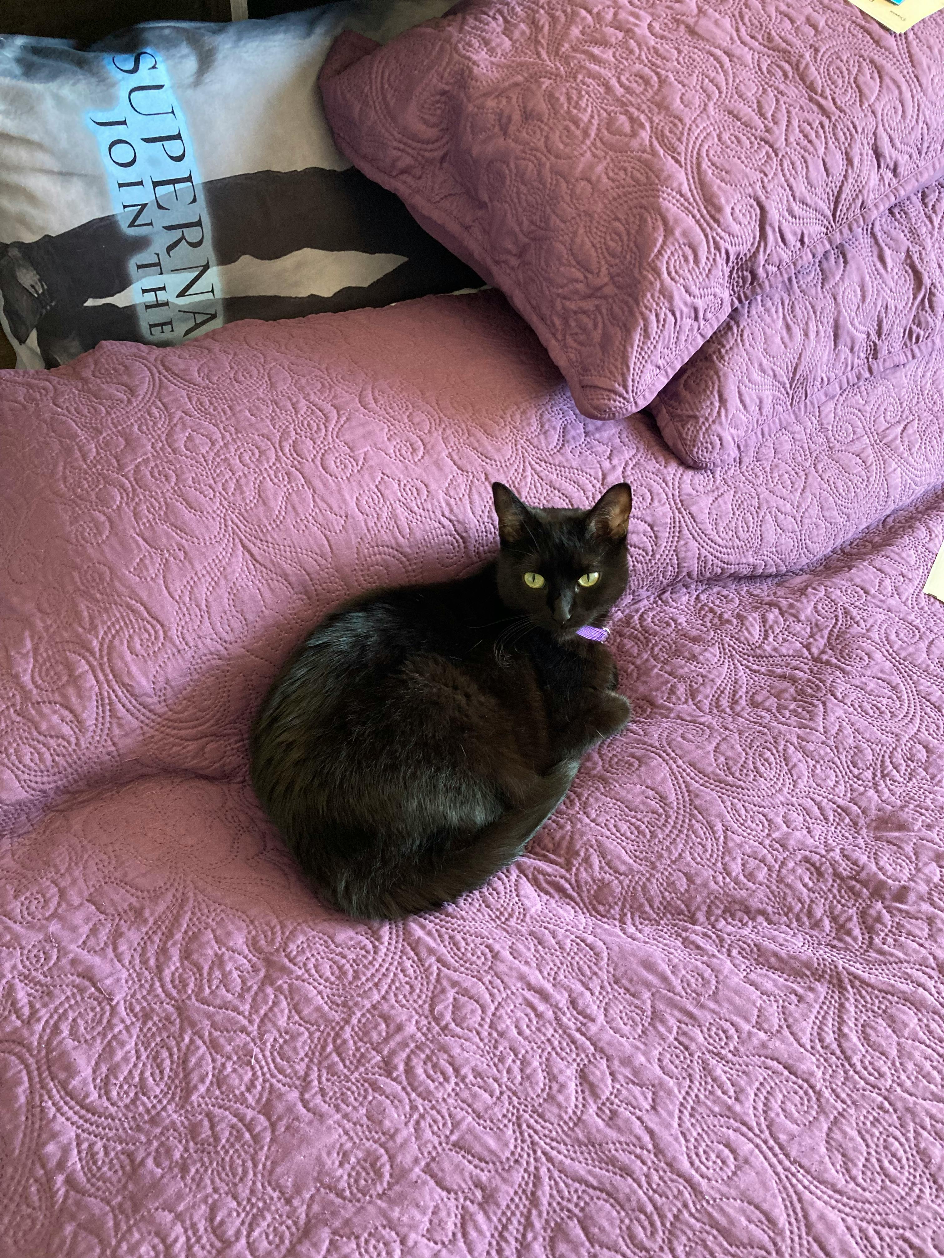 user avatar image for Kate B