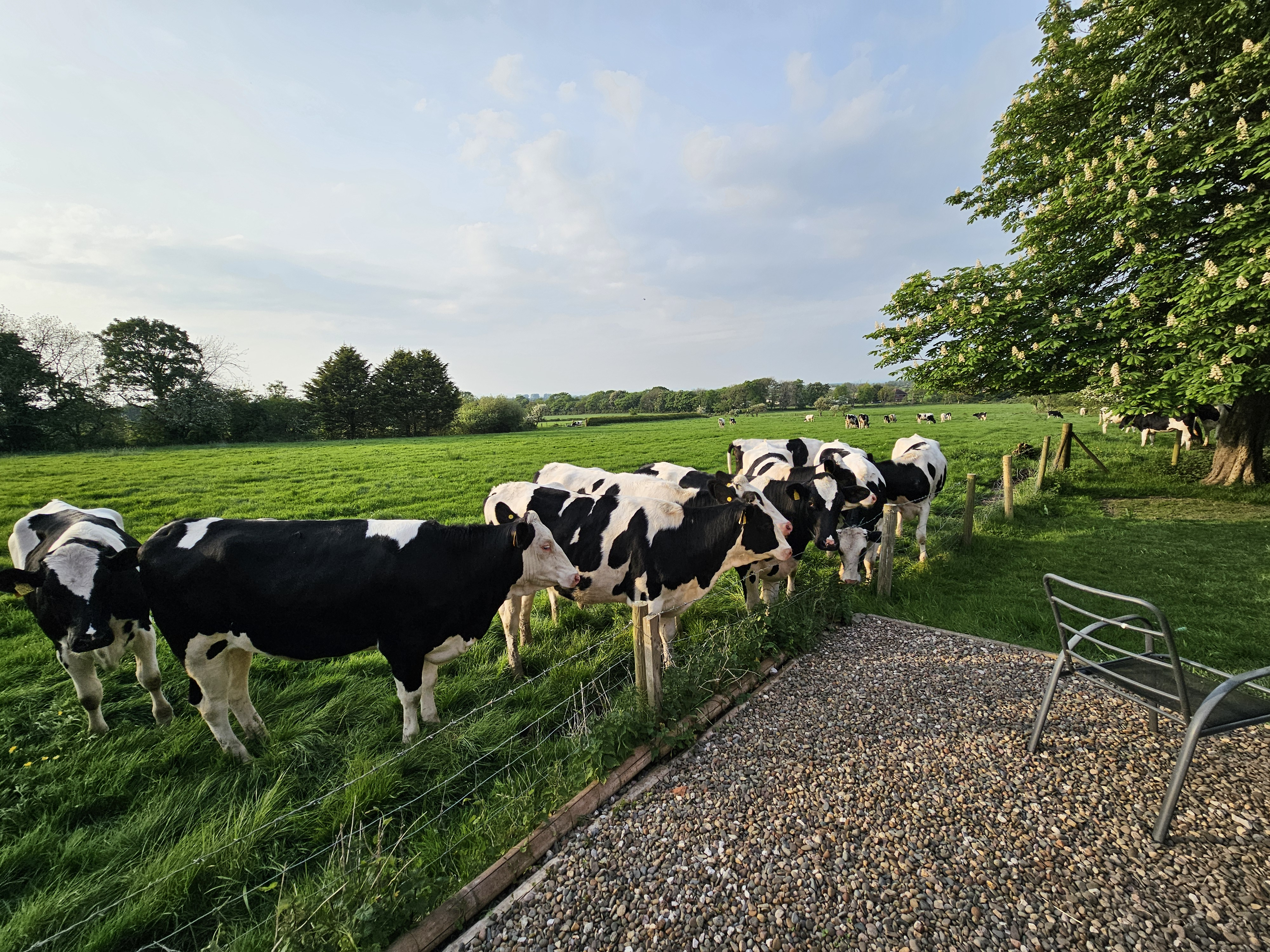 user avatar image for Andrew Ashton