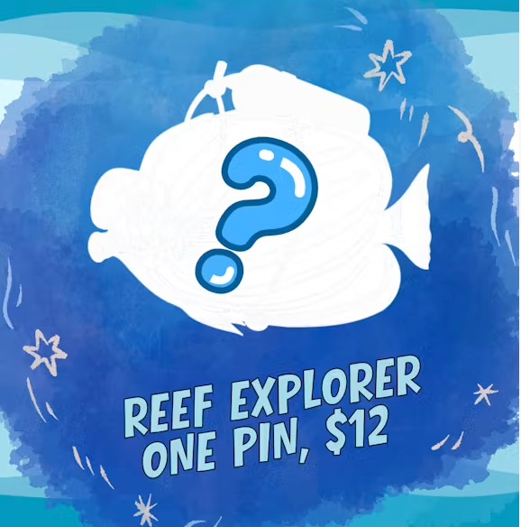 Reef Explorer