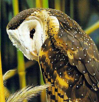 user avatar image for Clover44