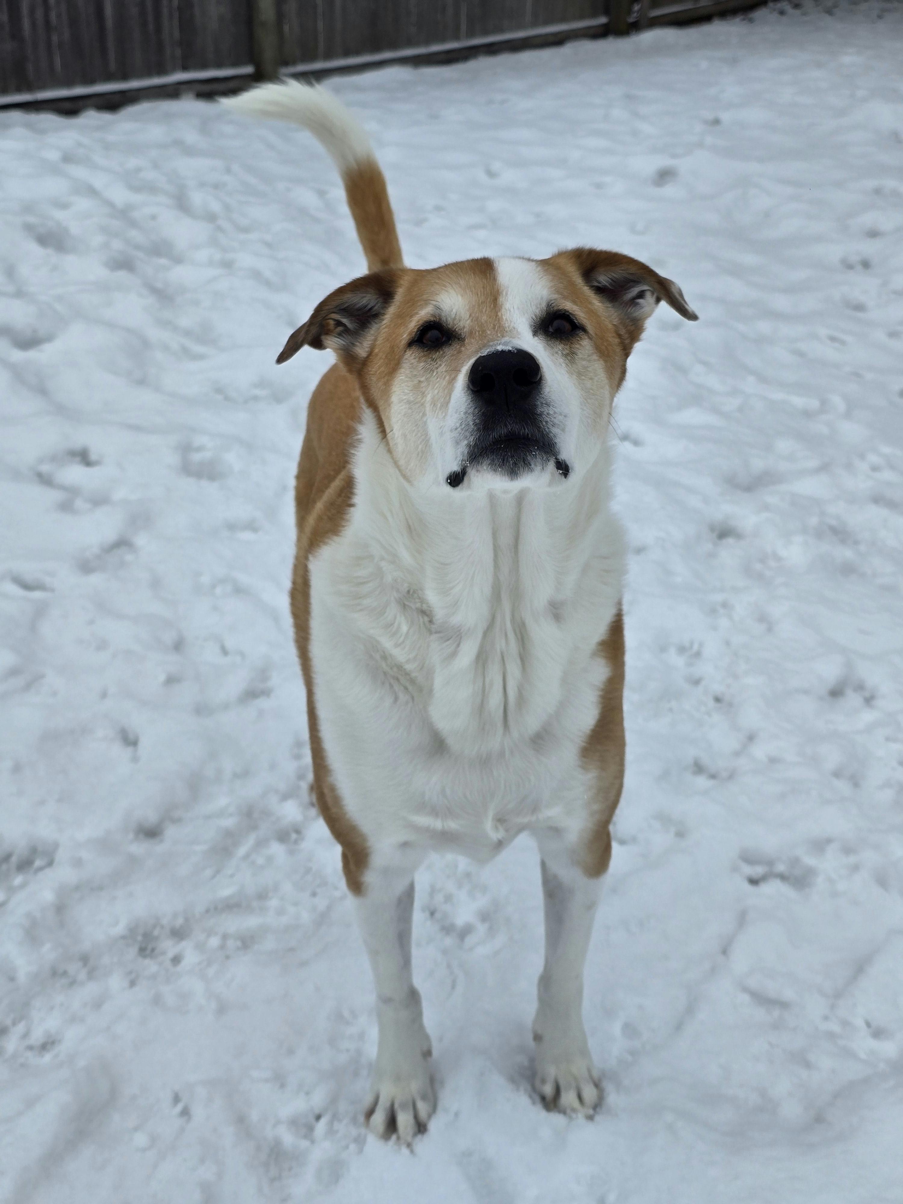 user avatar image for Teah Dempsey-Tkachenko