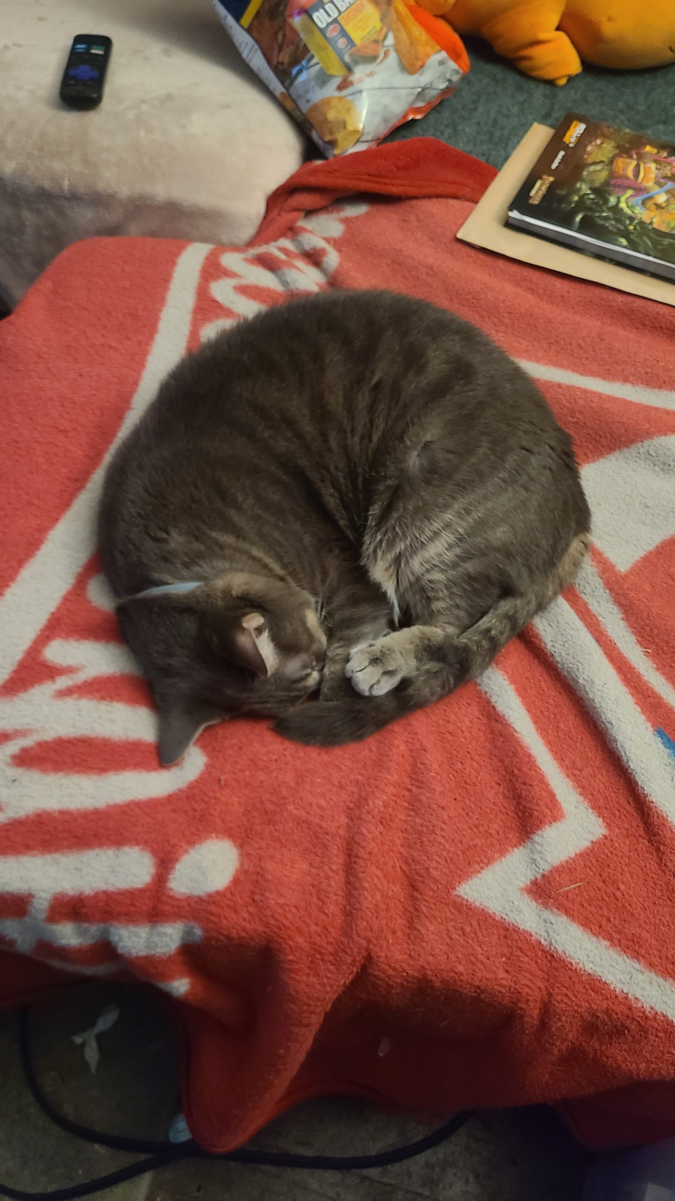 user avatar image for Amanda 