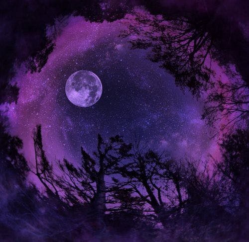 user avatar image for Ex.Libris.Ritter