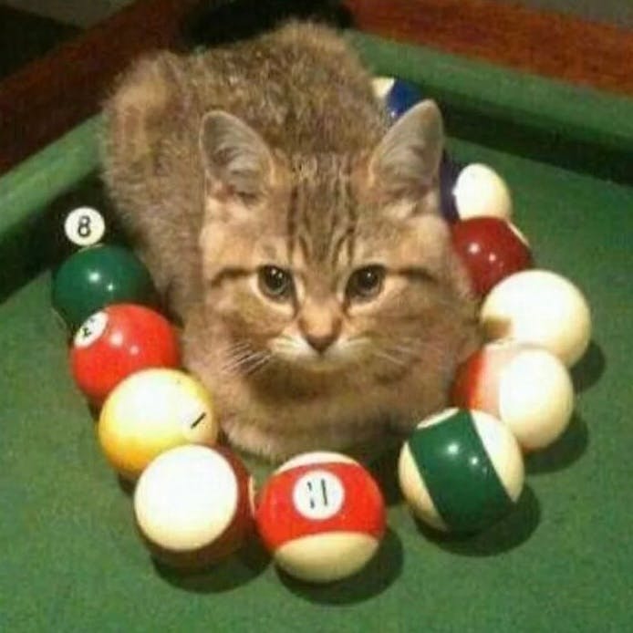 user avatar image for Jayce Avila