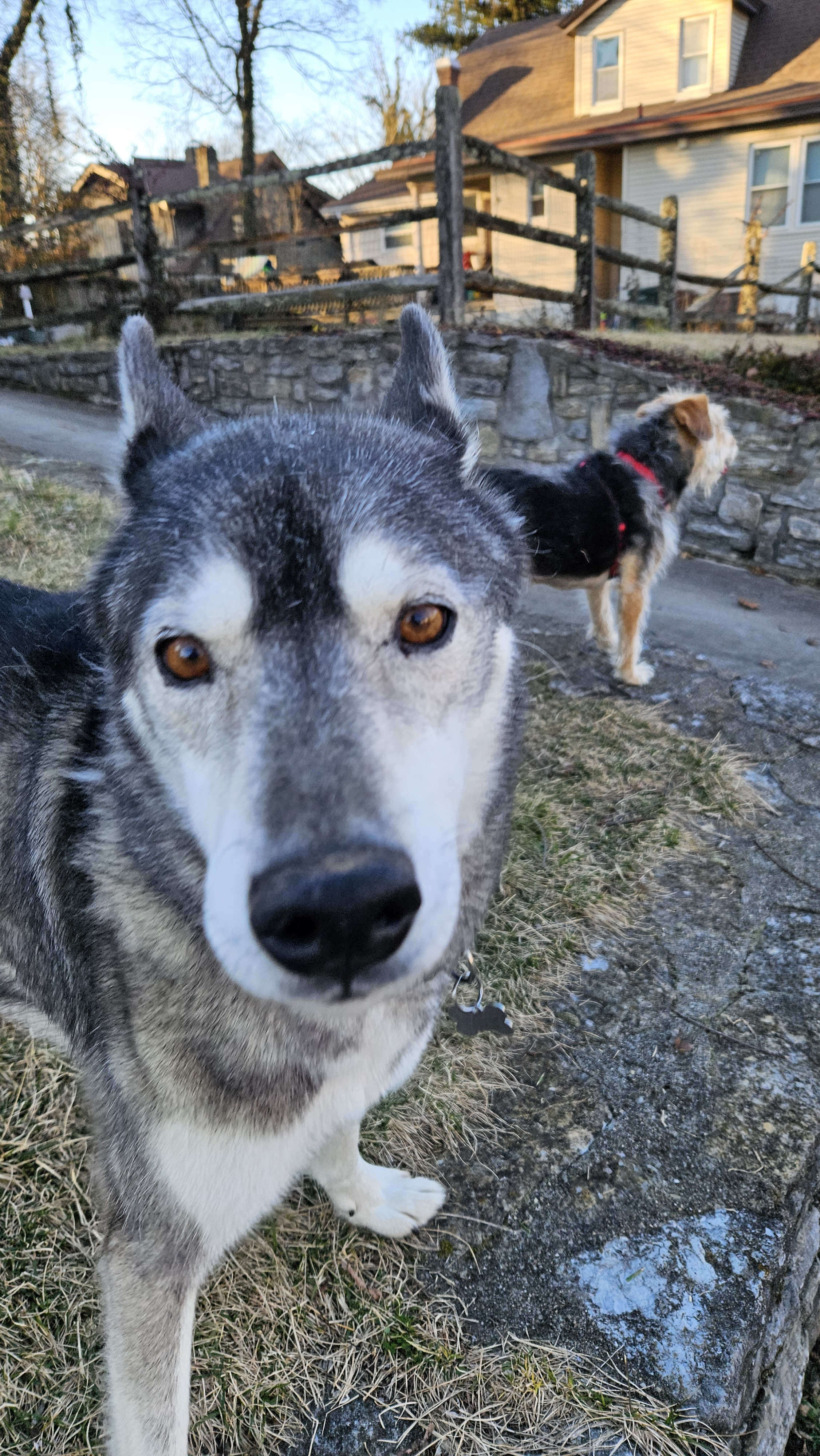 user avatar image for Ray