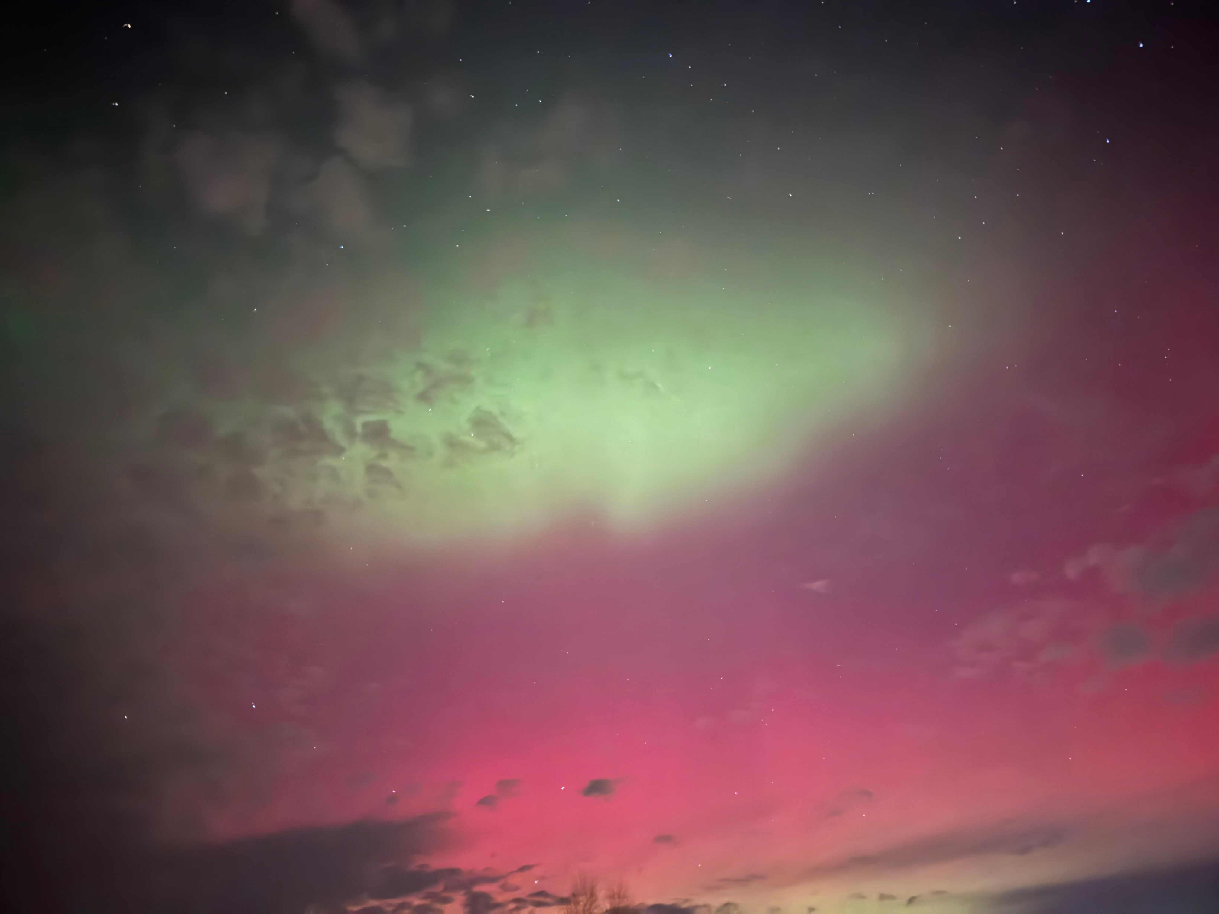 user avatar image for David Barrus