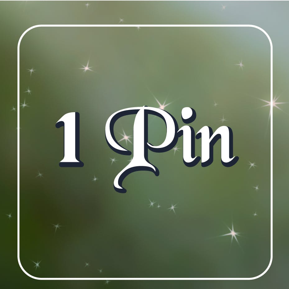 (1) Stretch Goal pin