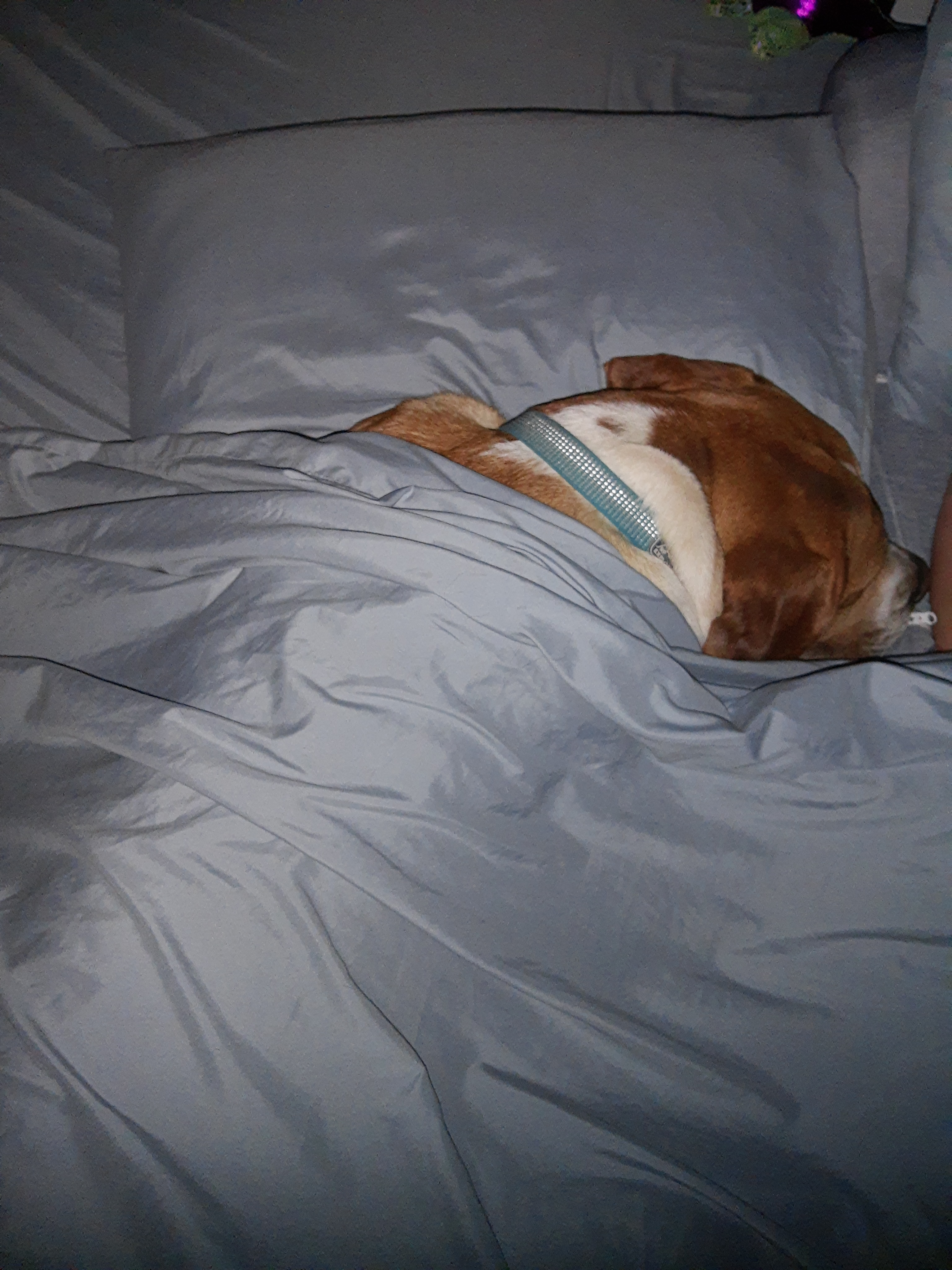 user avatar image for Don Caldwell