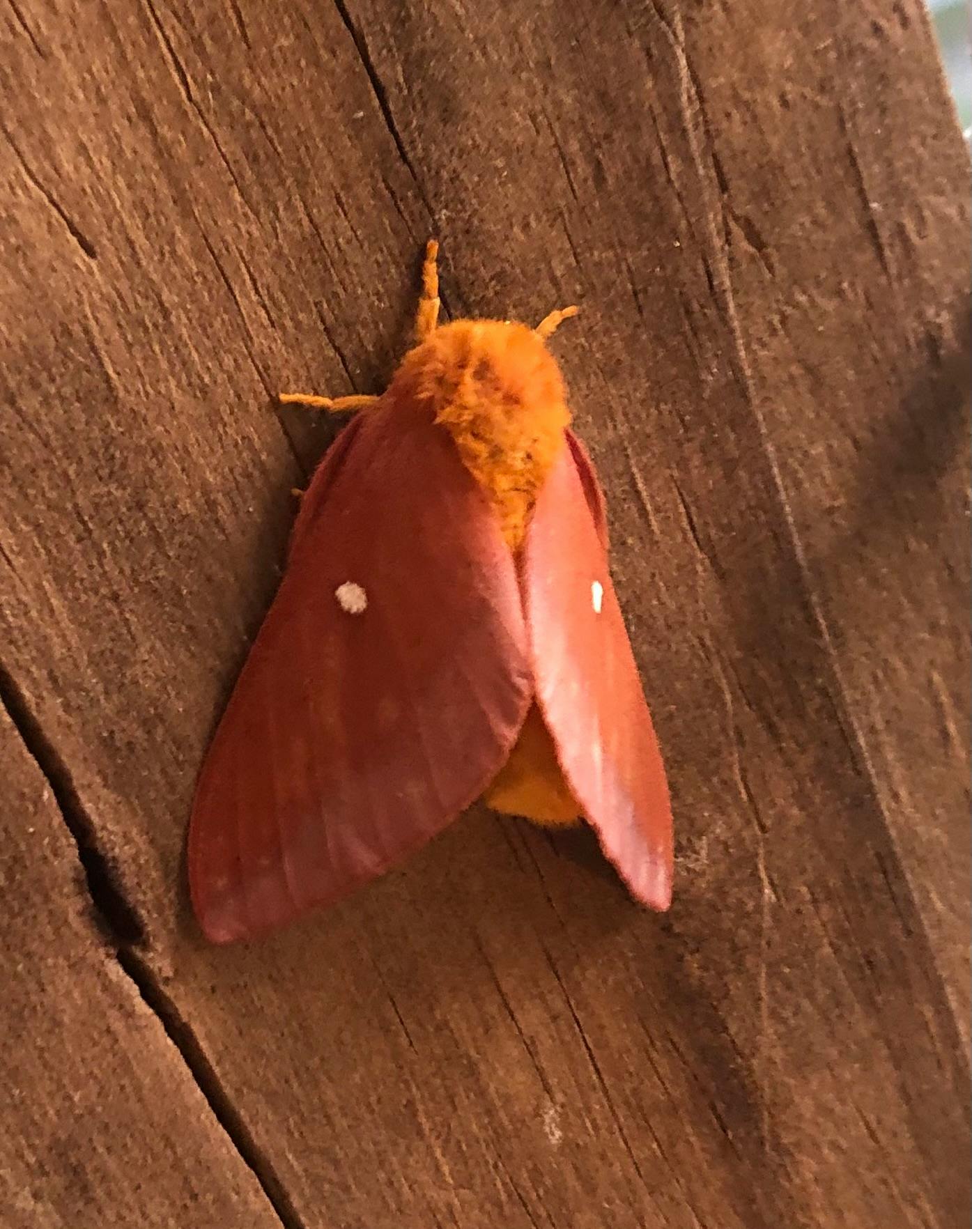 user avatar image for Sara