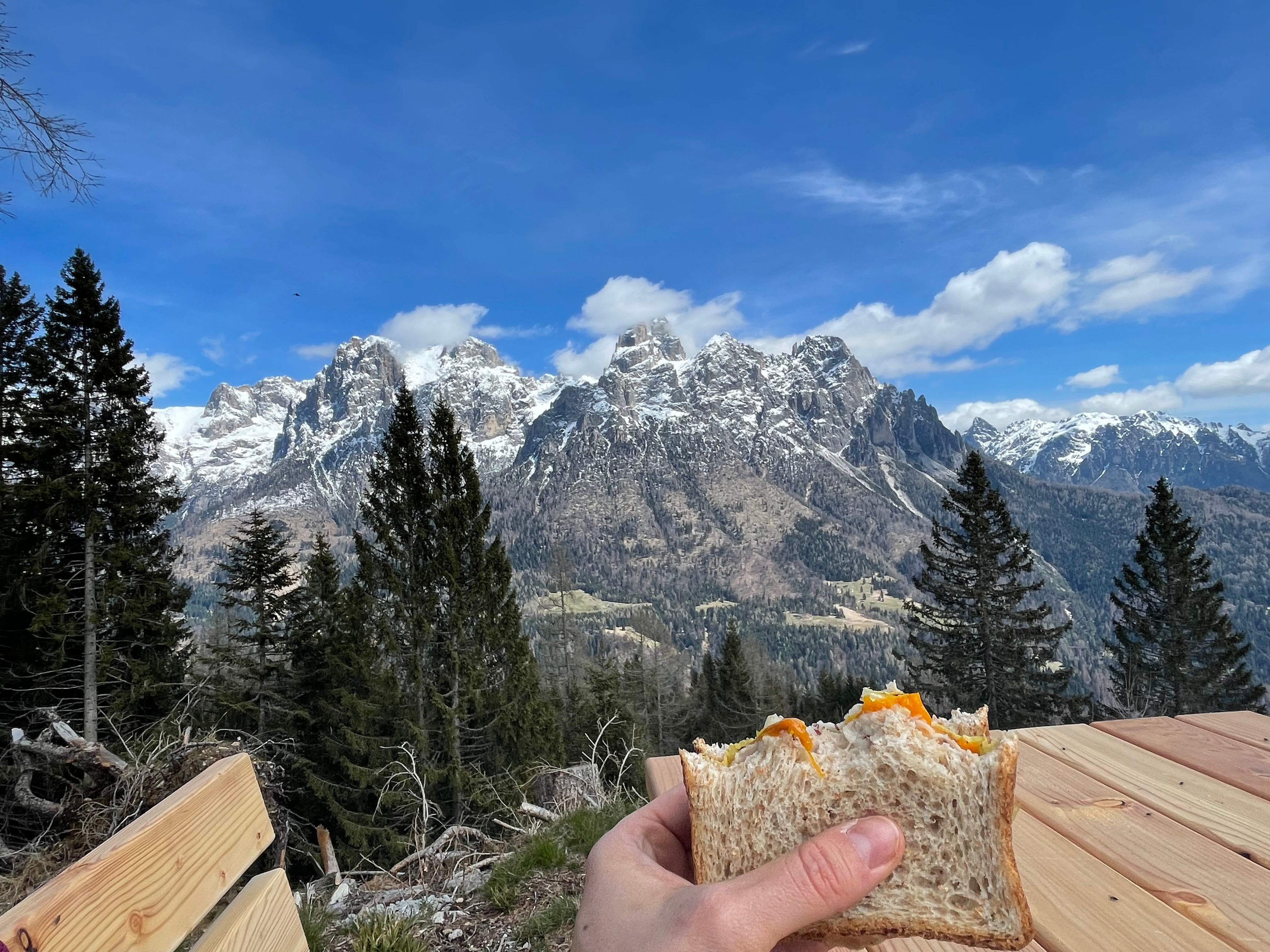 user avatar image for Giovanna Visintin