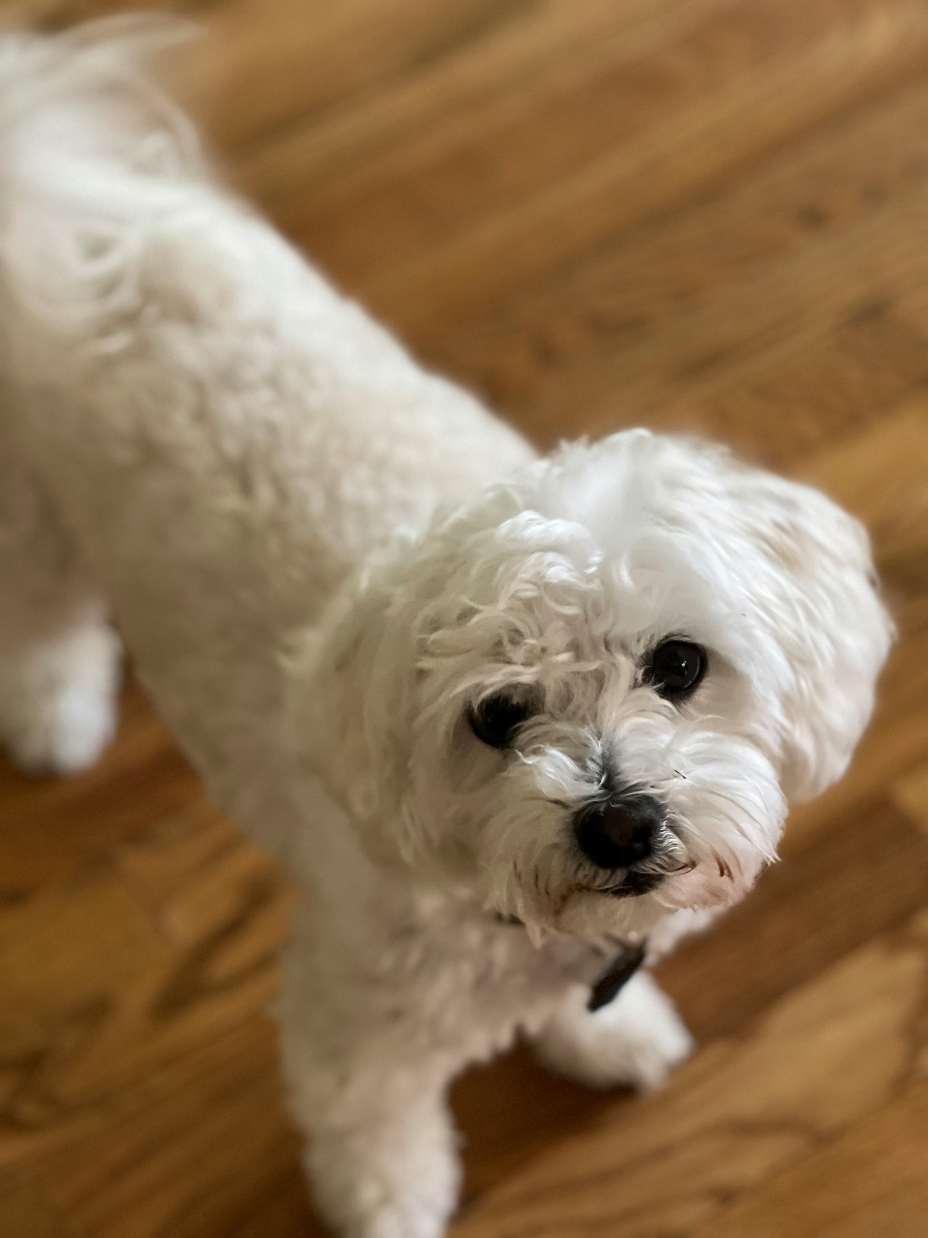 user avatar image for Paul Adams