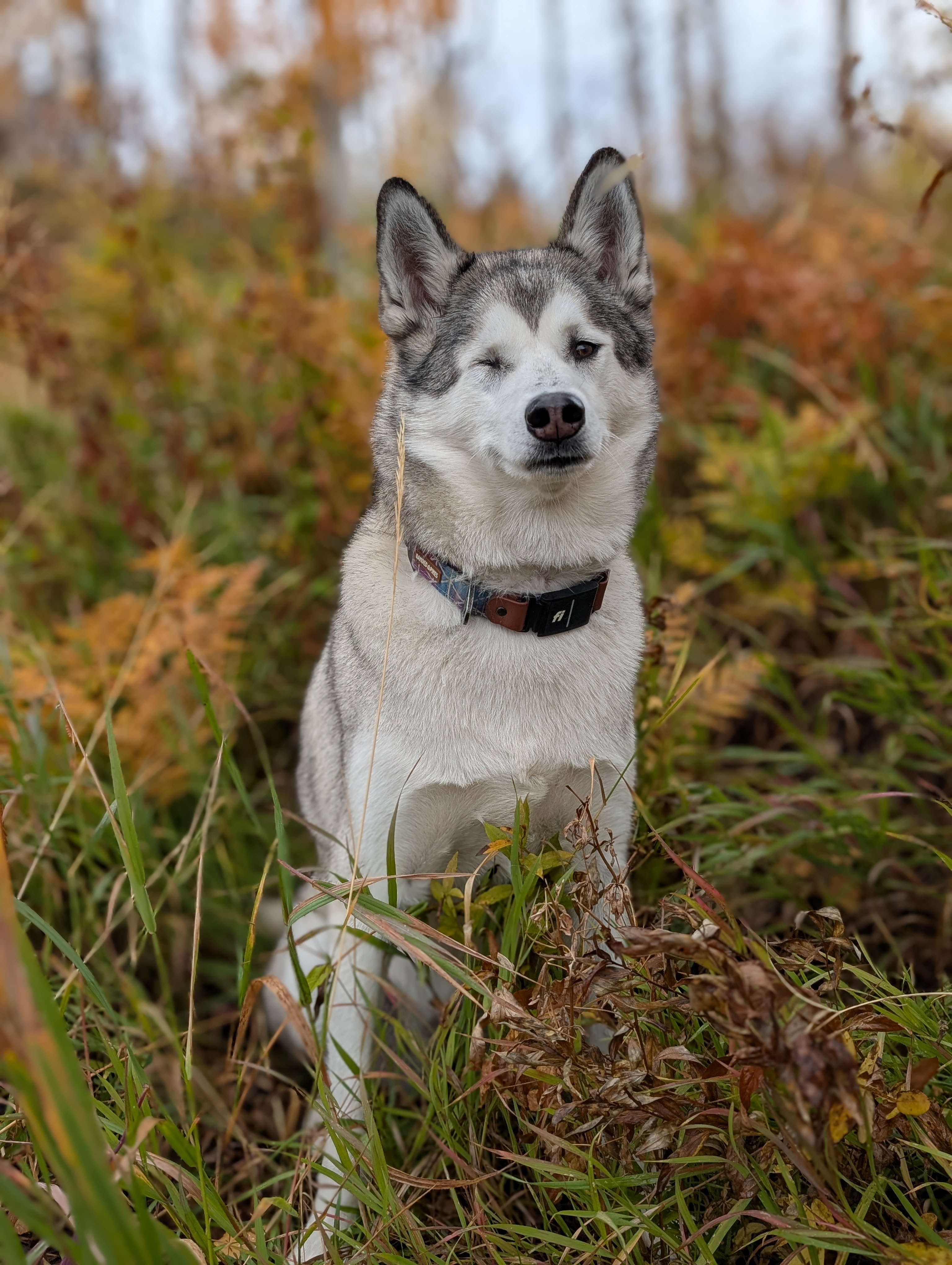 user avatar image for Lauren H