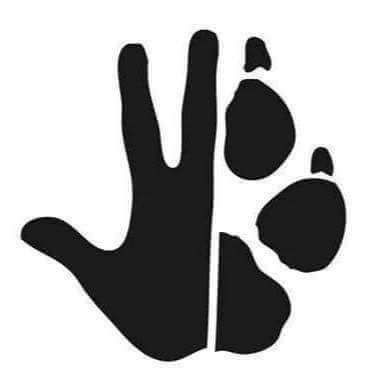 user avatar image for MBrady80