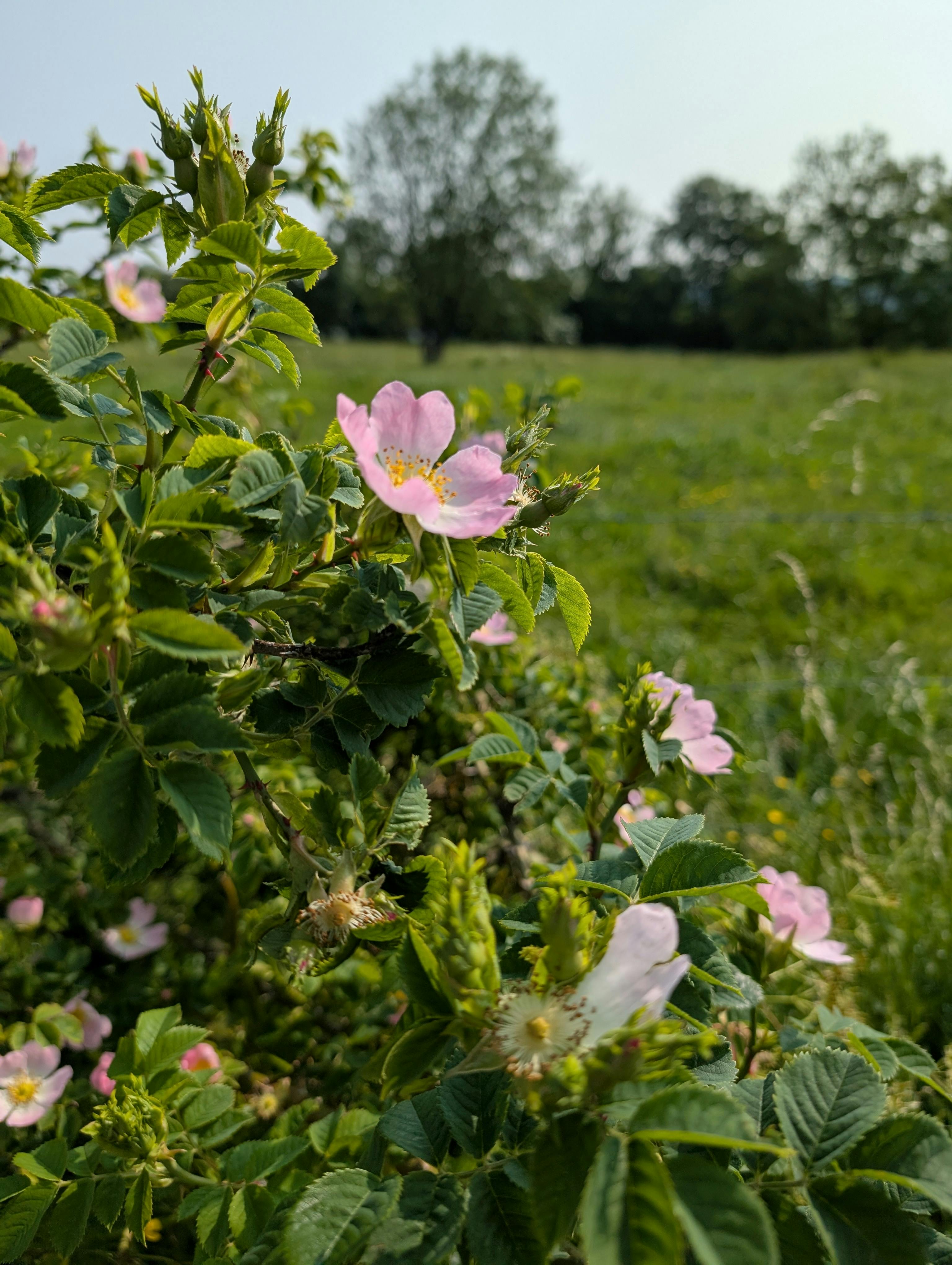 user avatar image for NaDalie