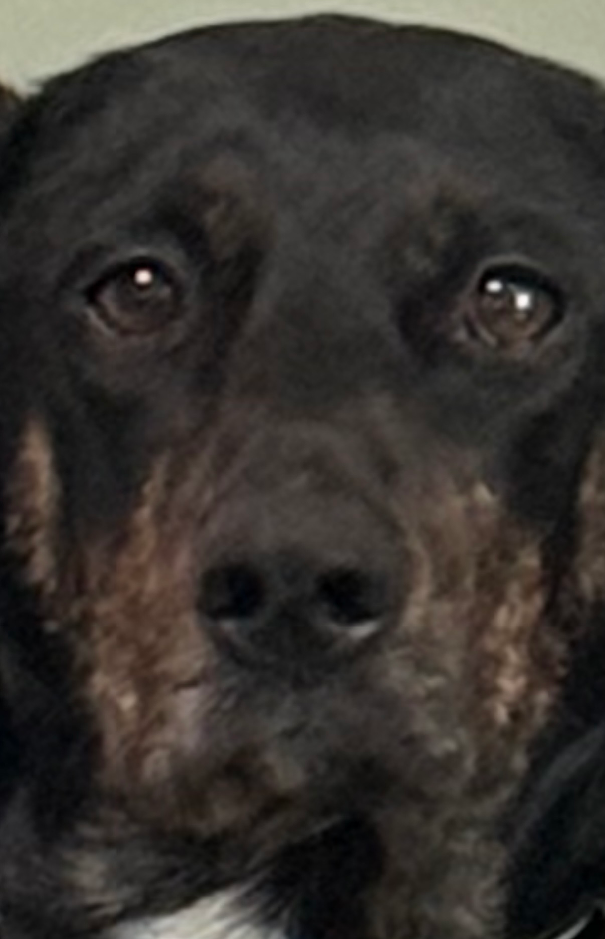 user avatar image for MikPik