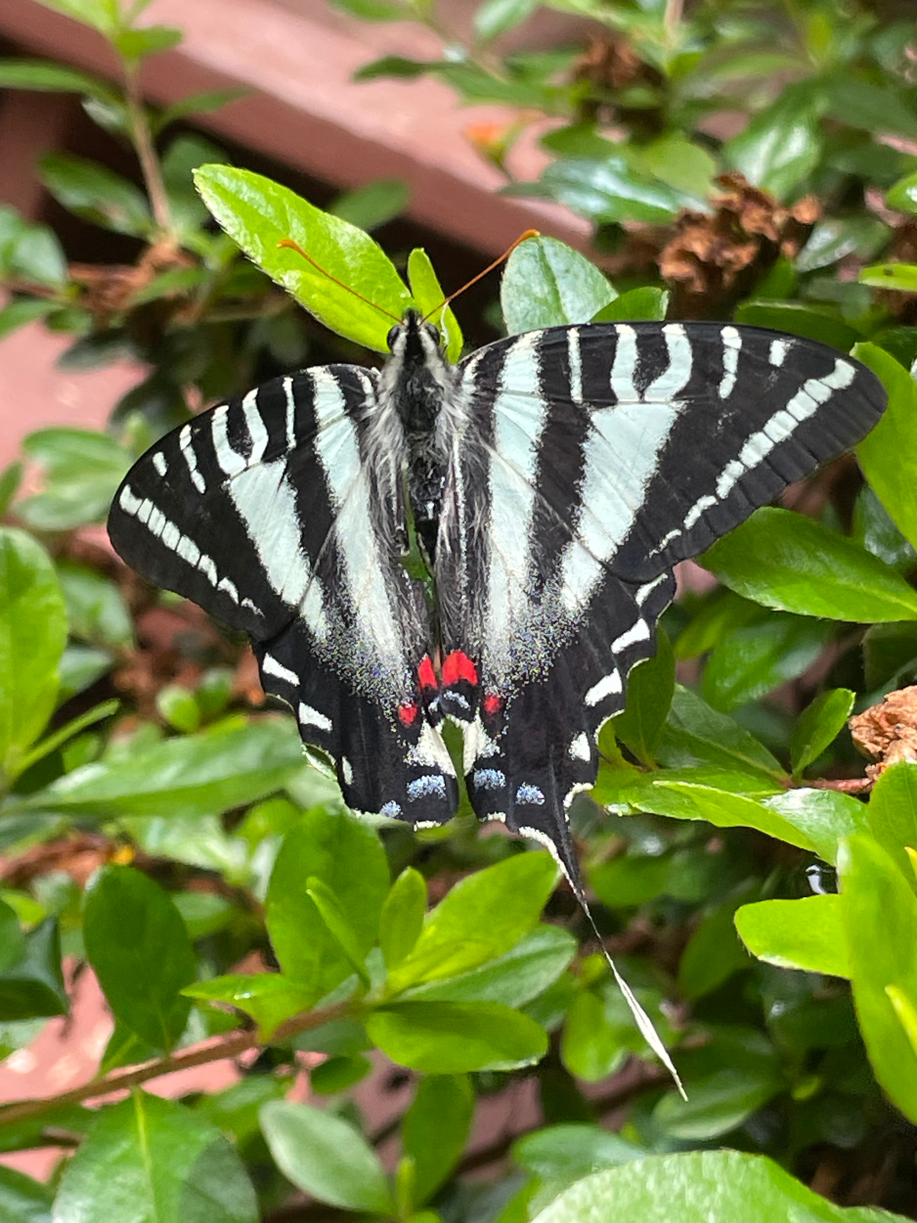 user avatar image for Casey