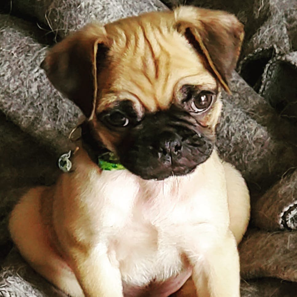 user avatar image for Brian