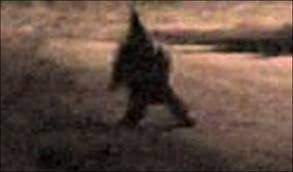 user avatar image for Federico Viola