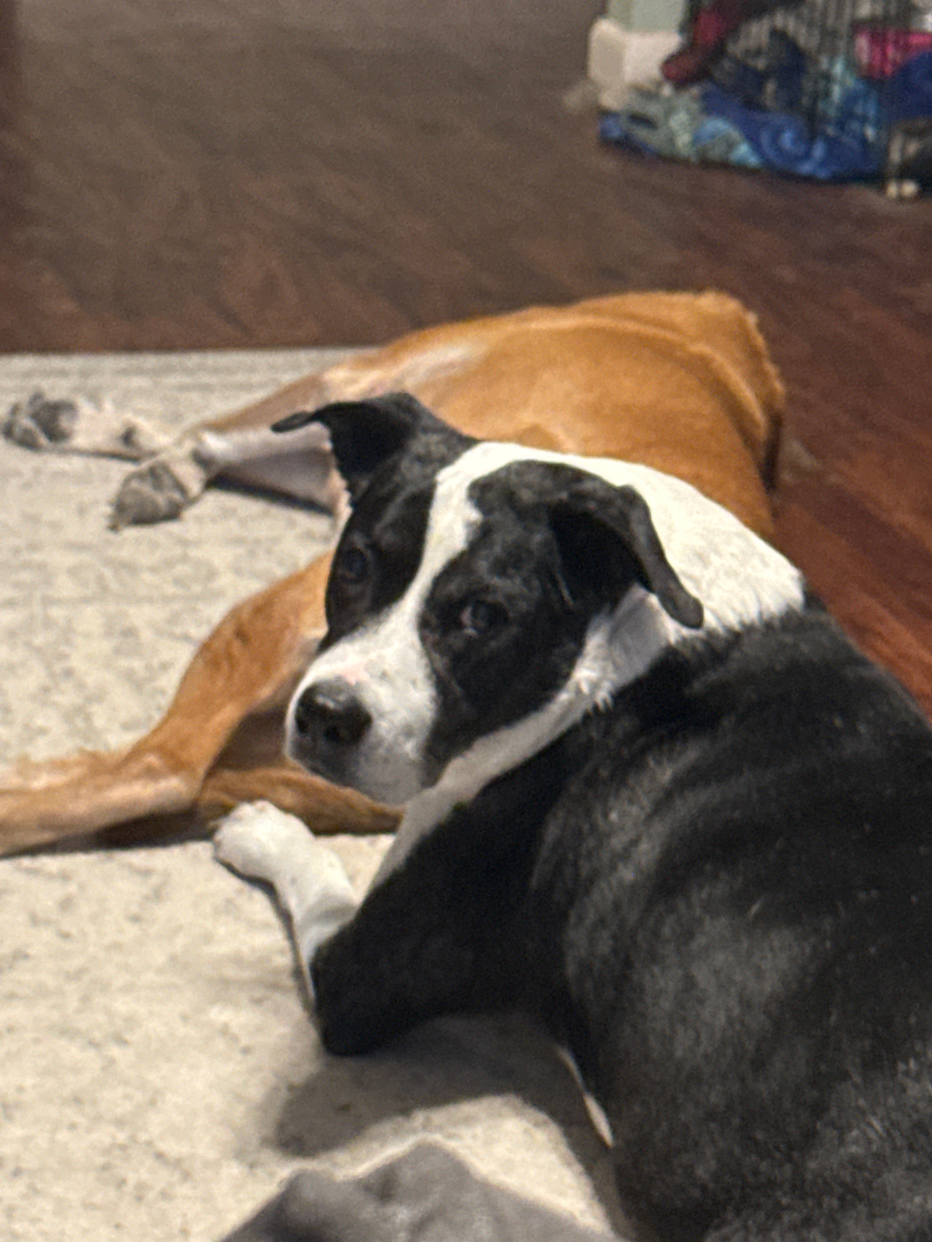 user avatar image for Matt Davis