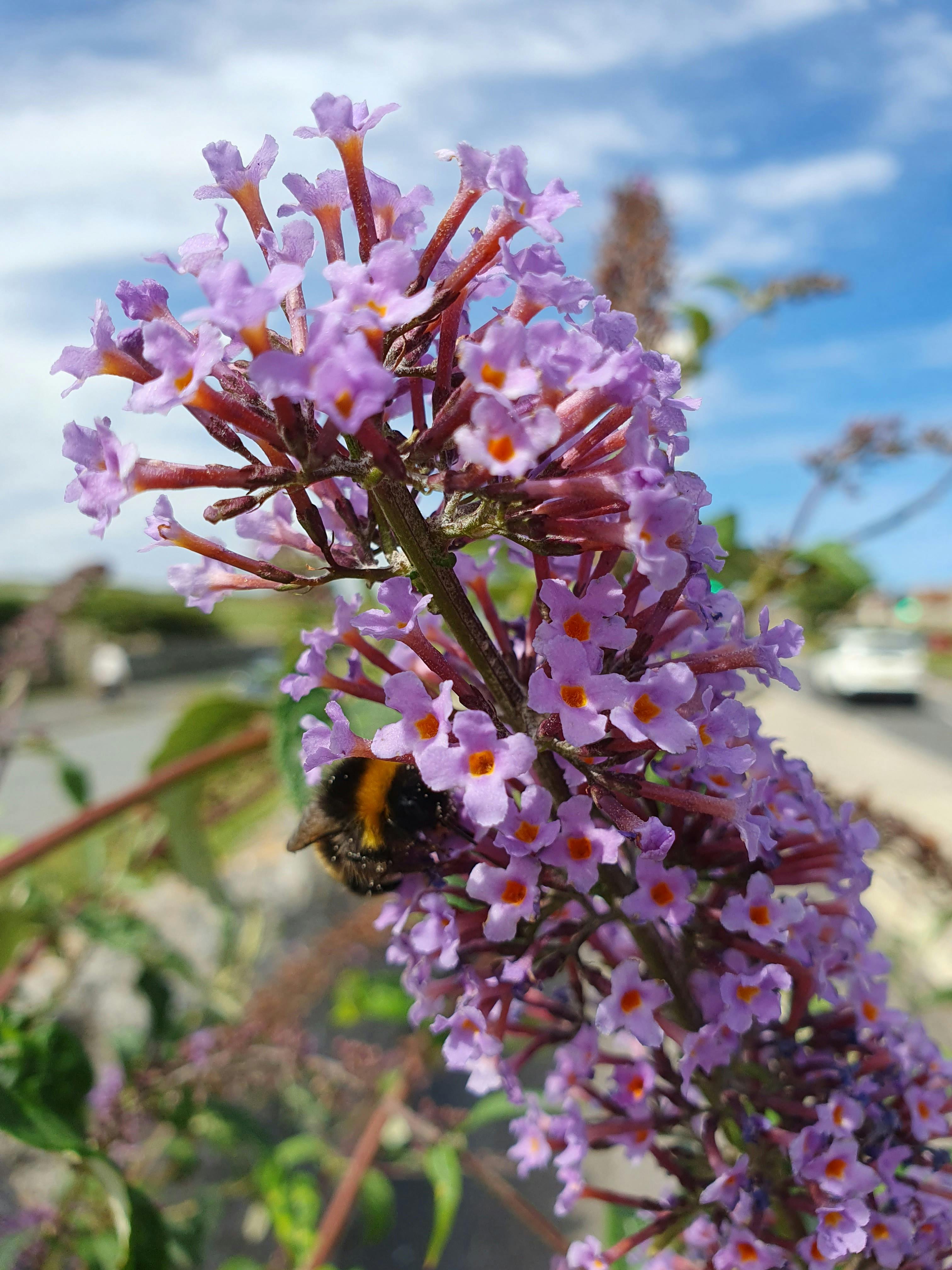 user avatar image for Rachel Elam