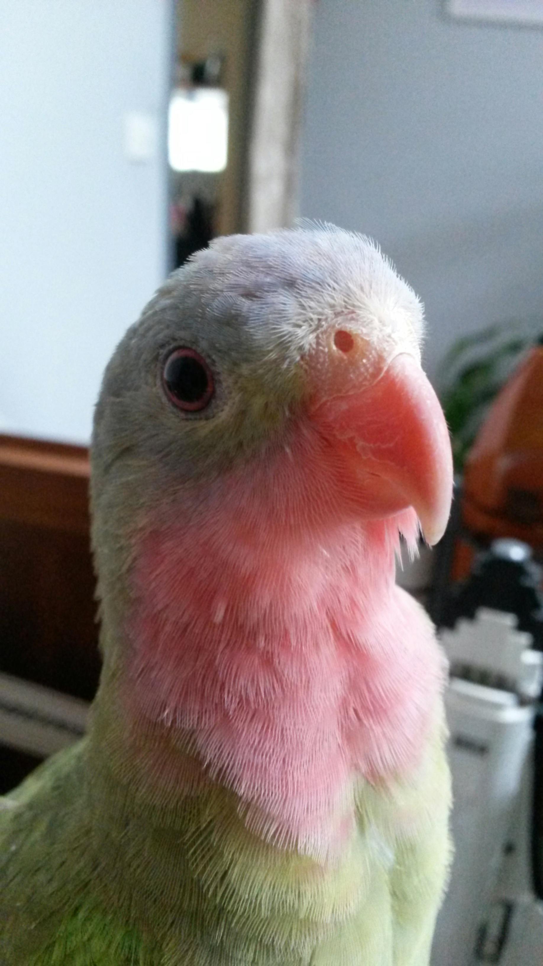 user avatar image for Rebecca